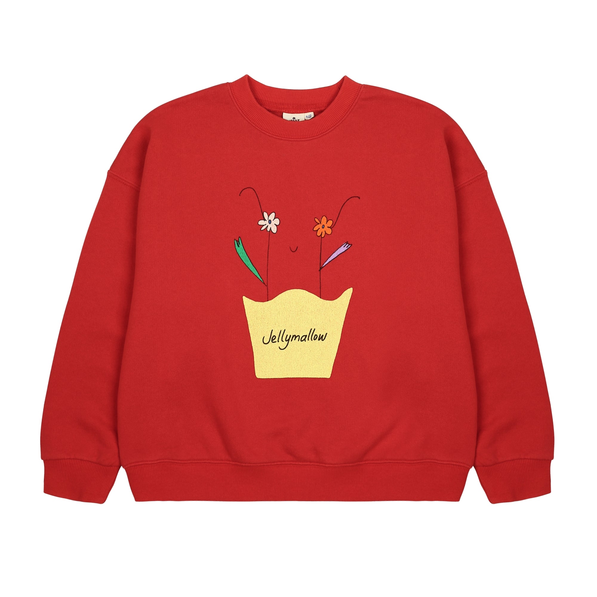 Boys & Girls Red Cotton Sweatshirt