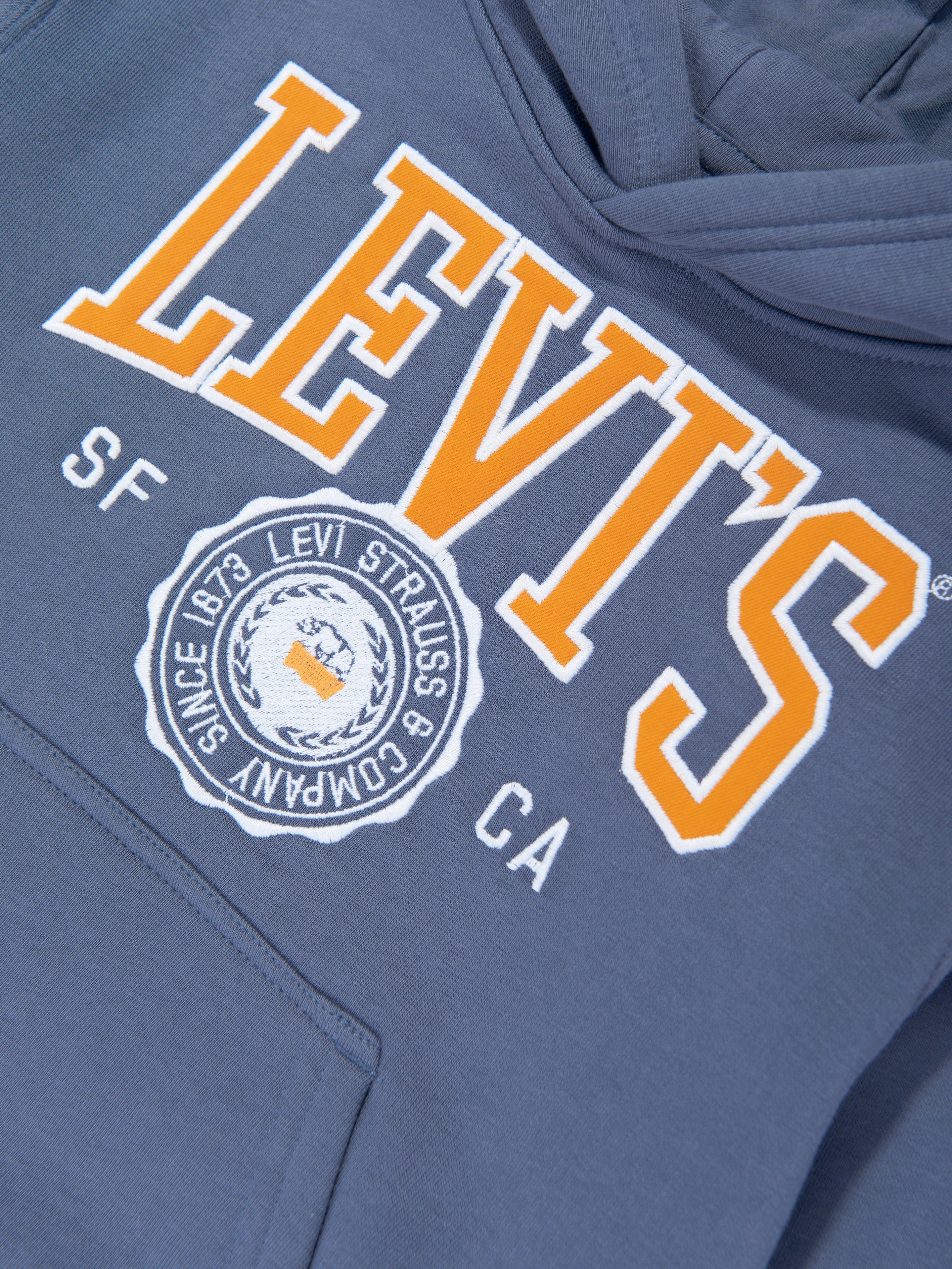 Boys Sporty Hoodie in Blue