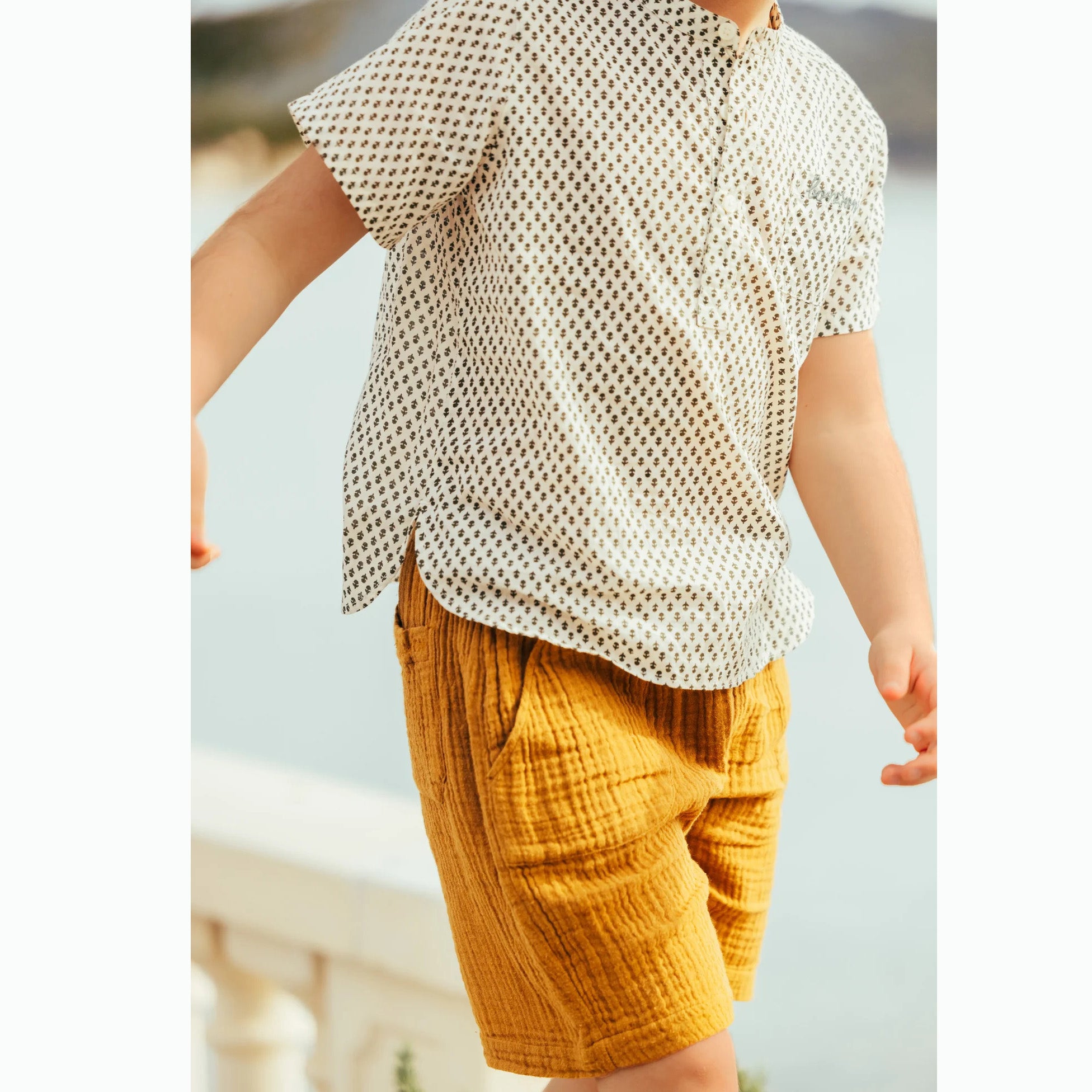 Boys Brown Cotton Shorts