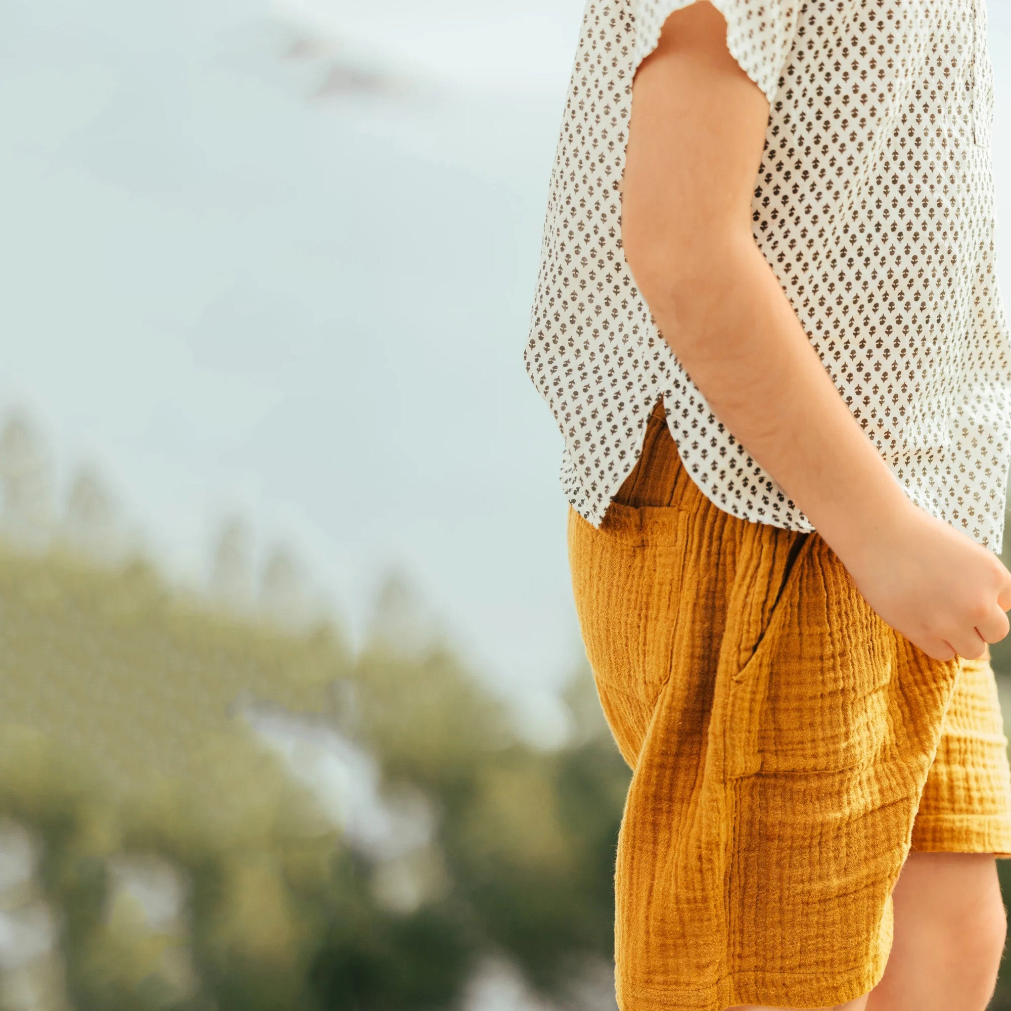 Boys Brown Cotton Shorts