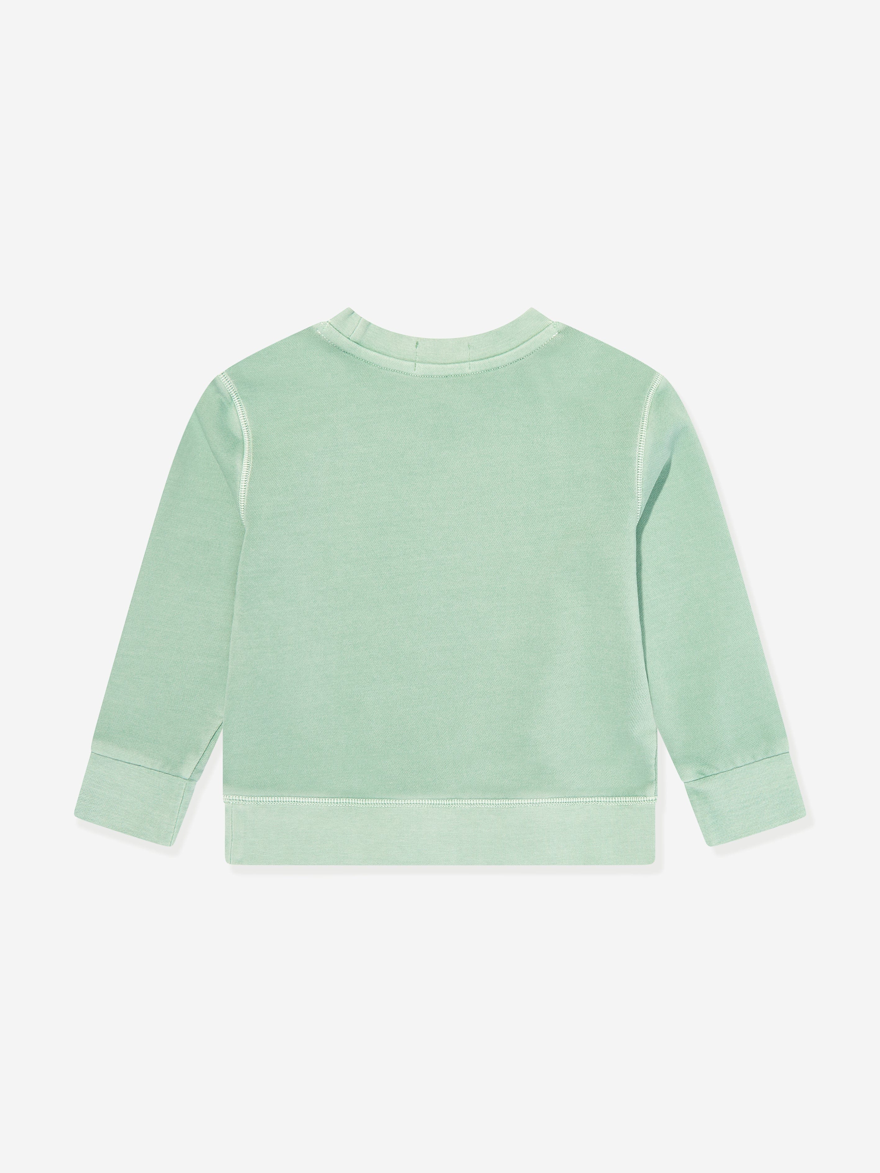 Ralph Lauren Boys Logo Sweatshirt in Green