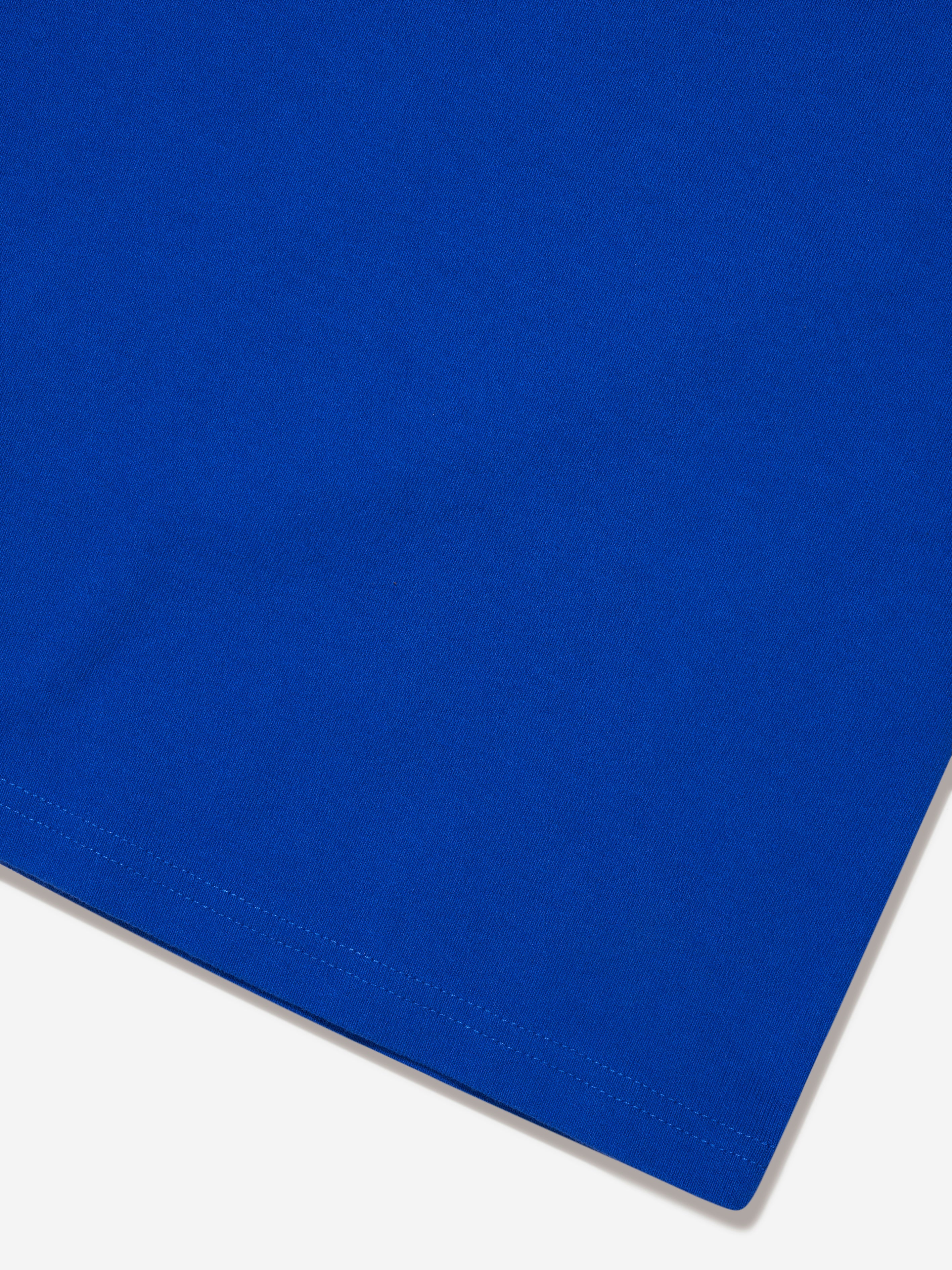 Boys Logo T-Shirt in Blue