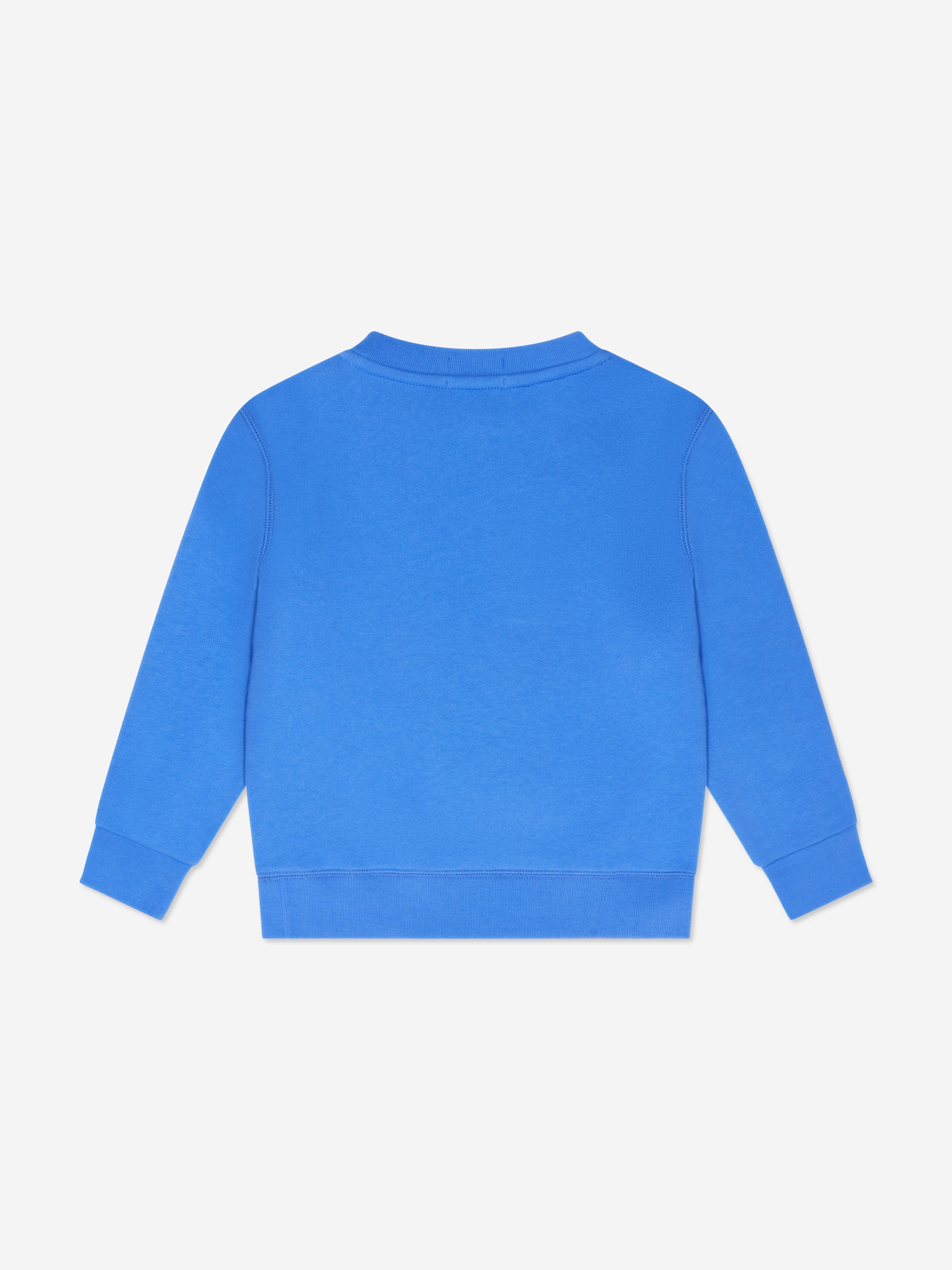 Boys Polo Bear Sweatshirt in Blue