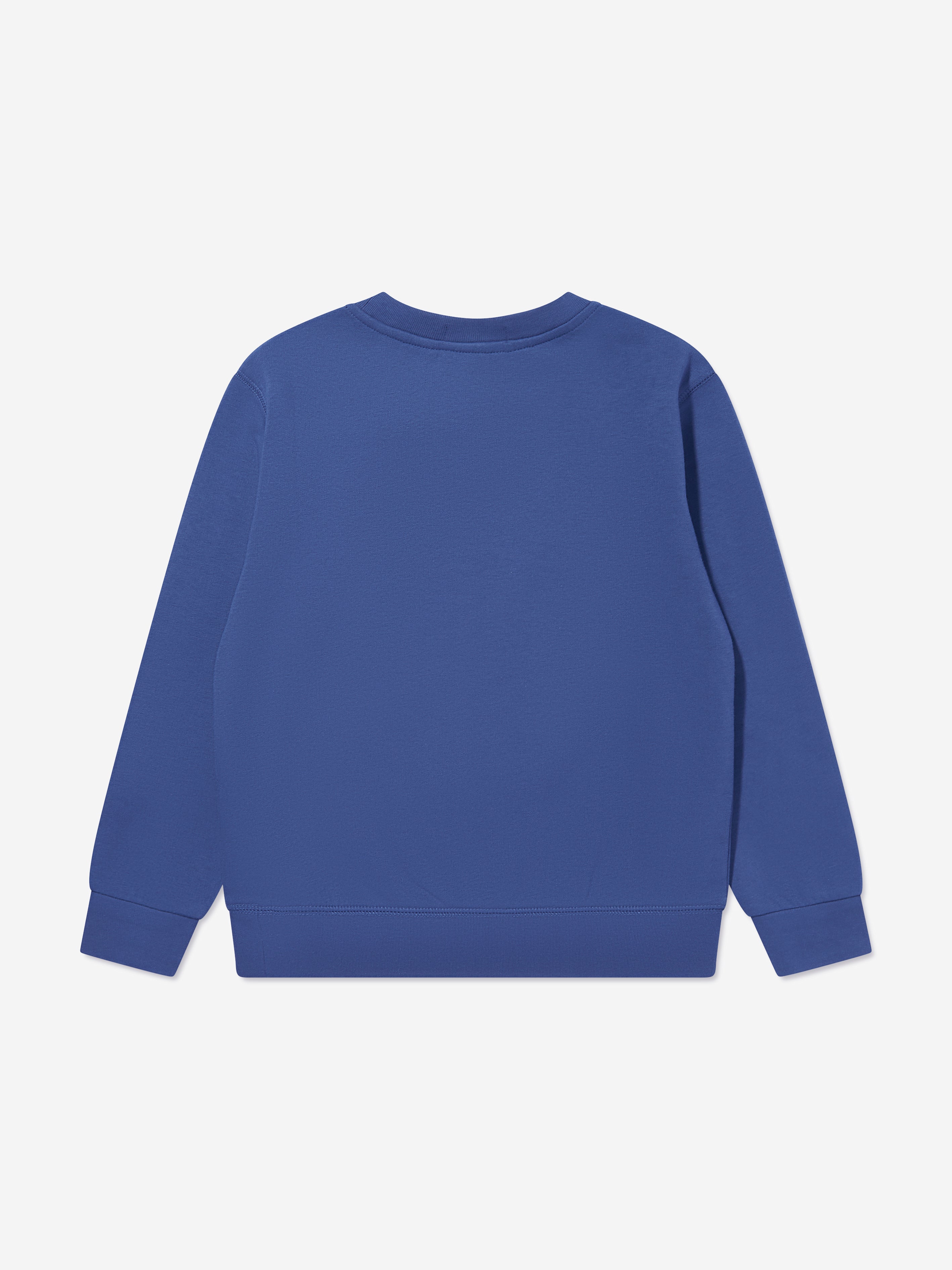 Boys Bear Sweatshirt in Blue