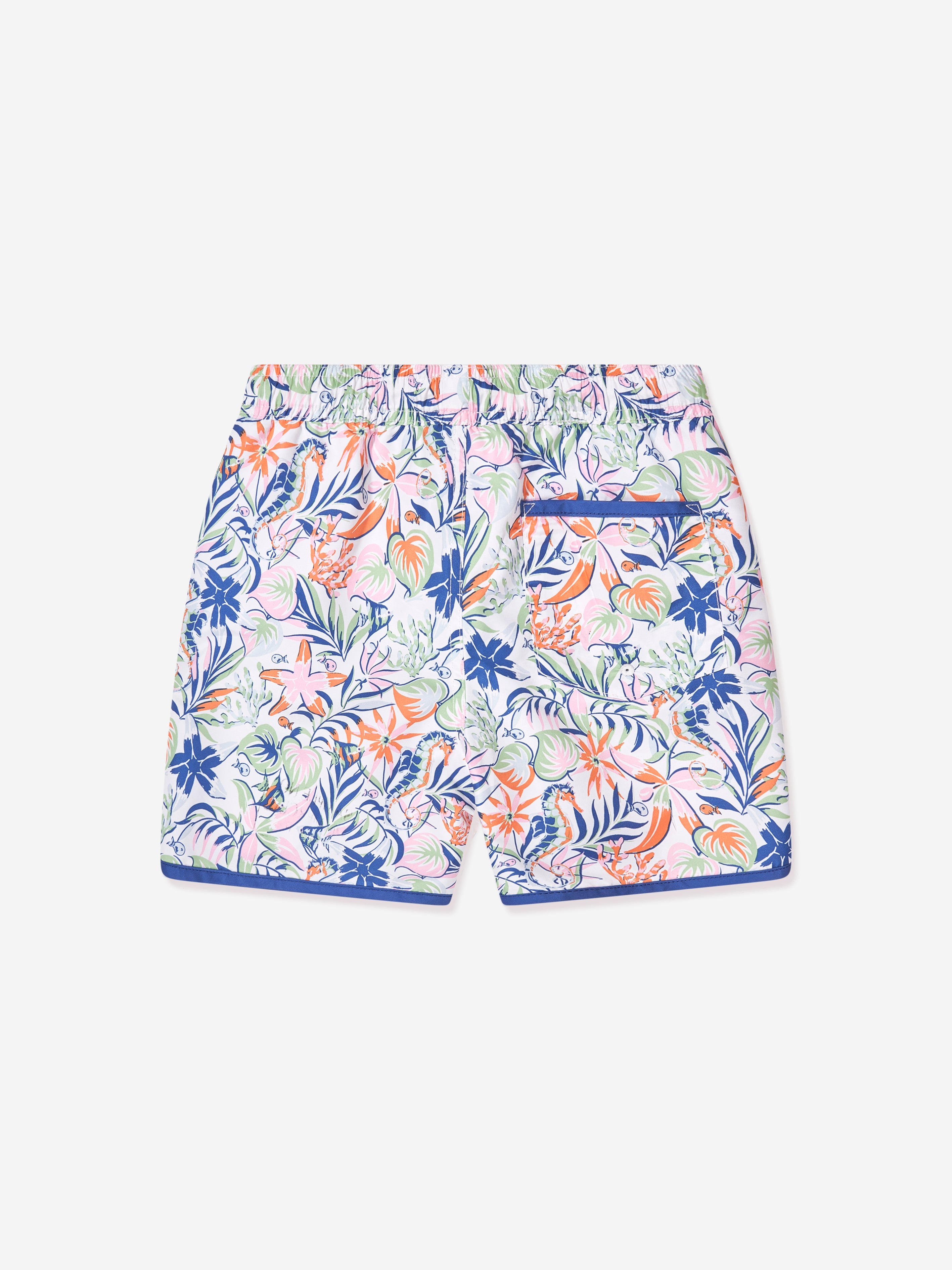 Boys Sea Creature Swim Shorts in Multicolour