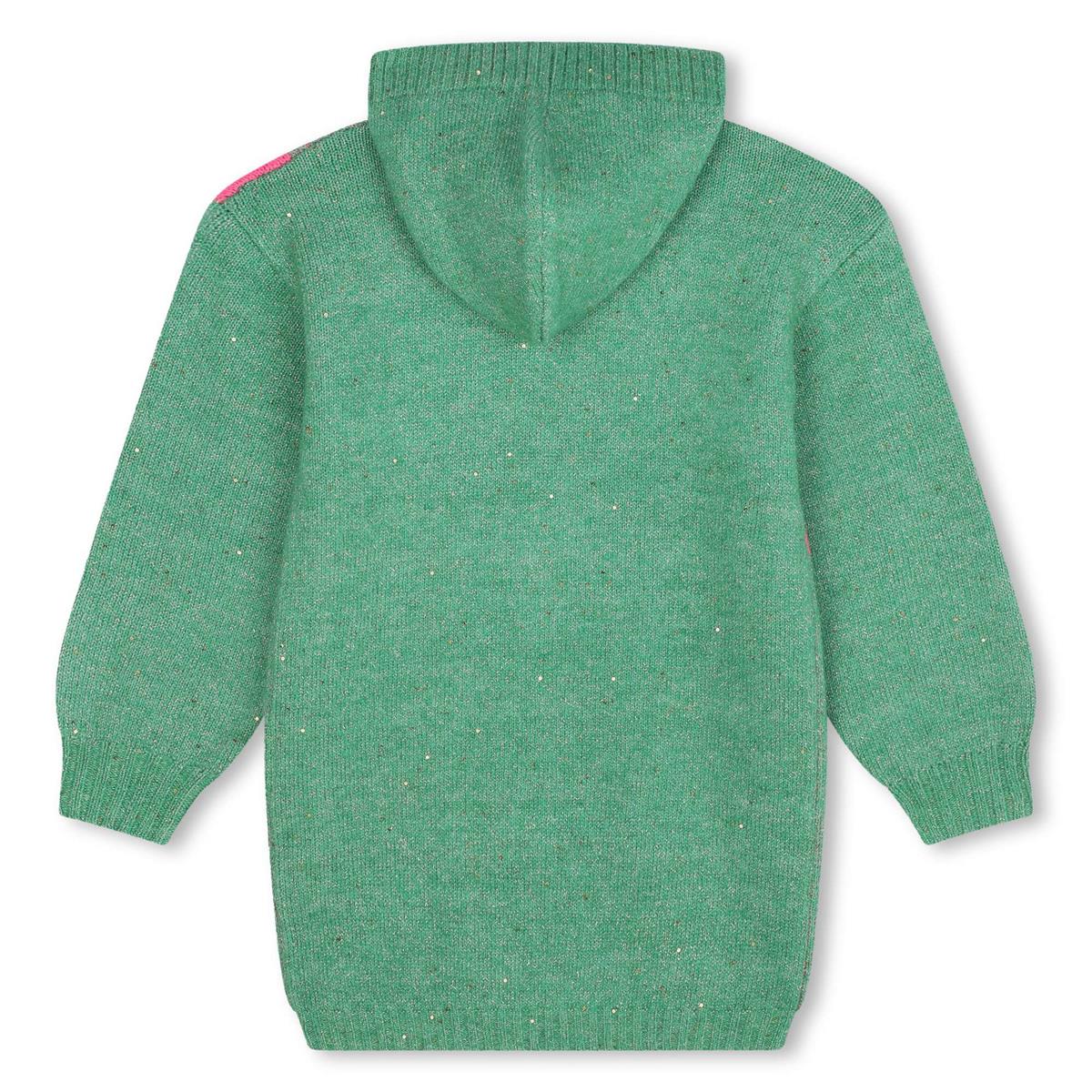 Girls Green Hooded Knit Dress