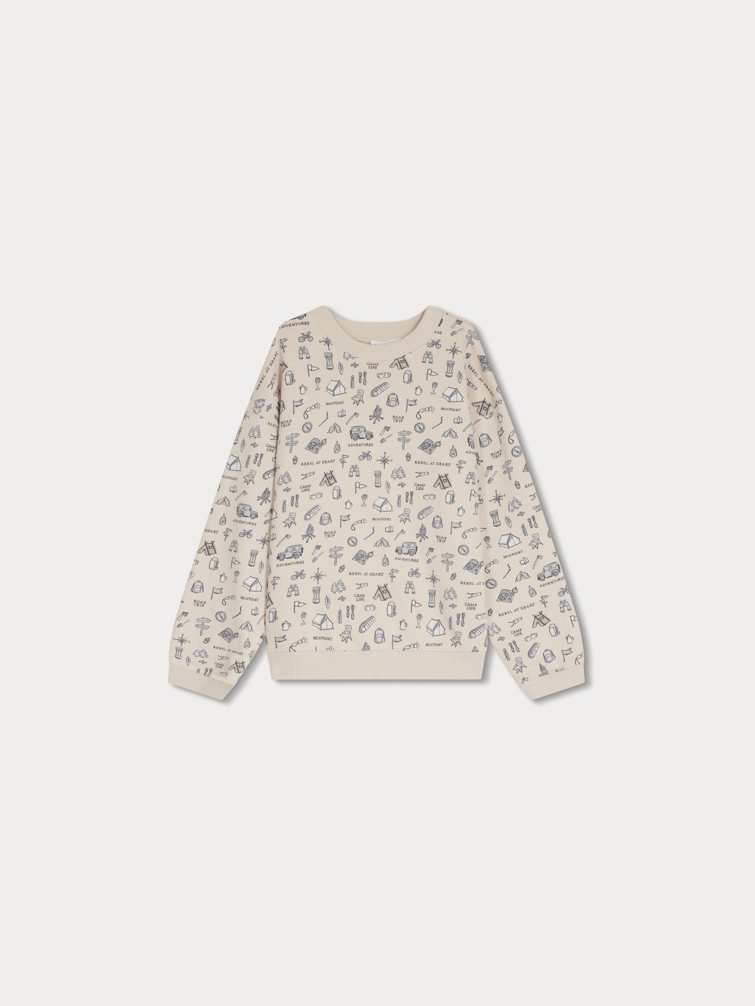 Boys Beige Printed Cotton Sweatshirt