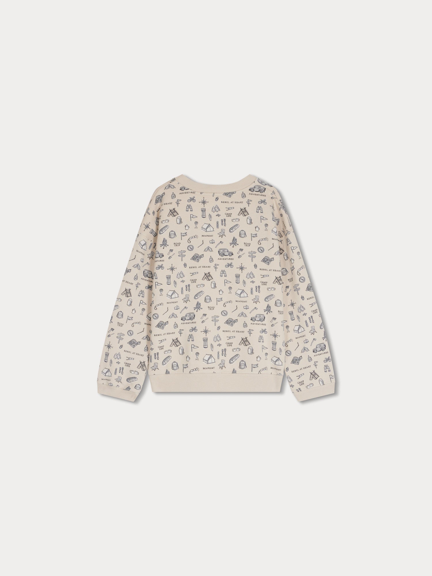 Boys Beige Printed Cotton Sweatshirt