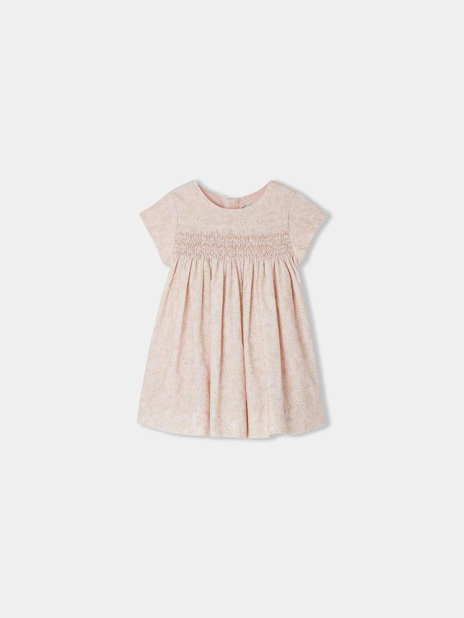 Baby Girls Rose Velvet Dress