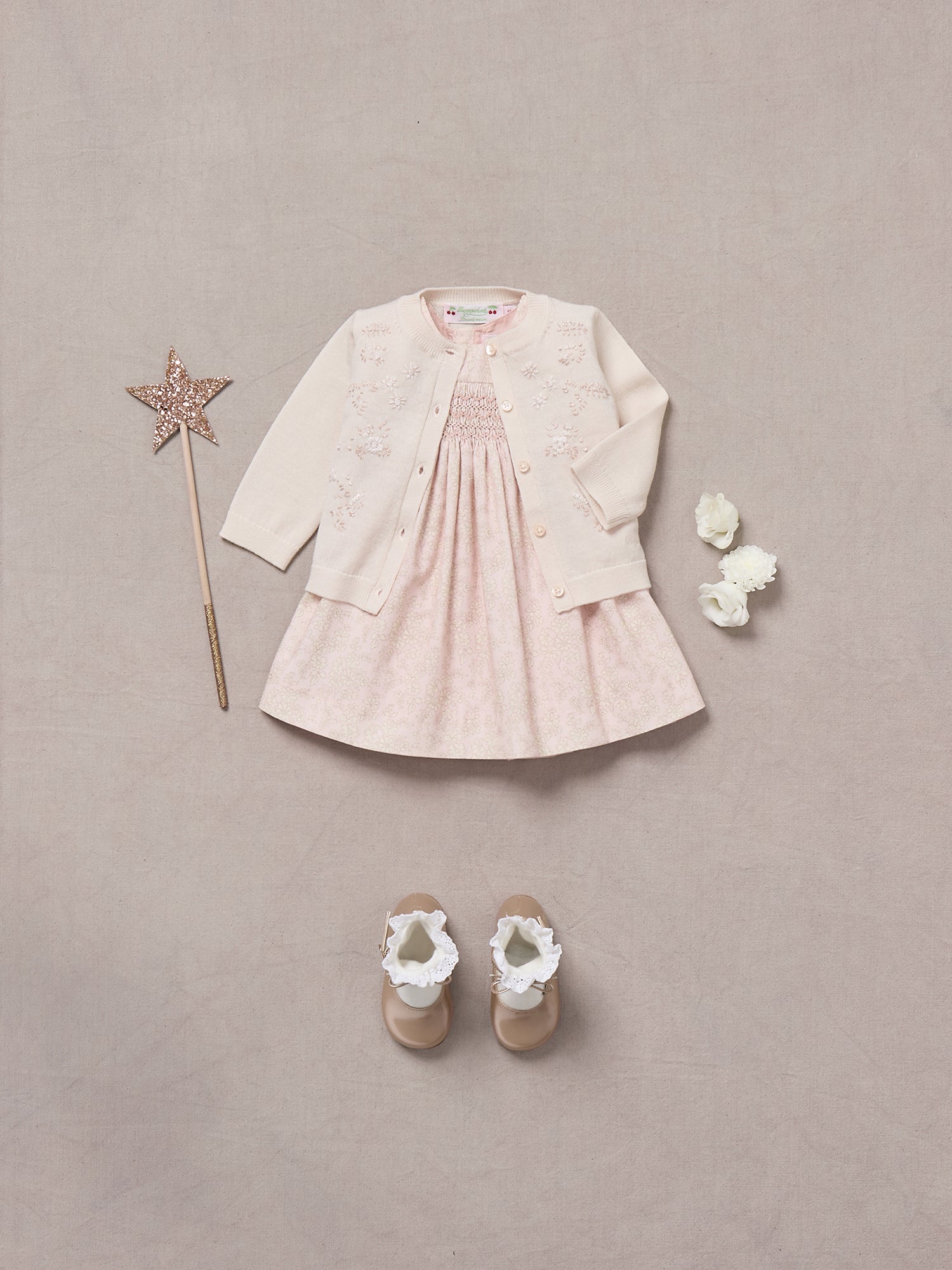 Baby Girls Rose Velvet Dress