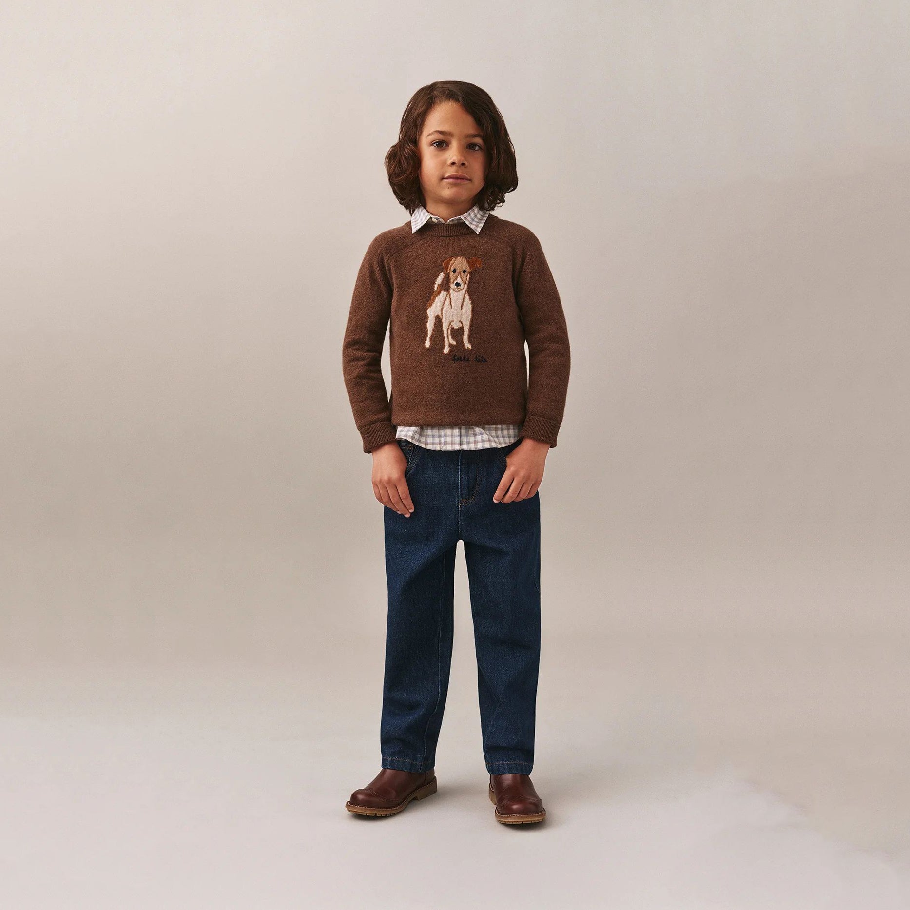 Boys Brown Dog Jacquard Cashmere Sweater