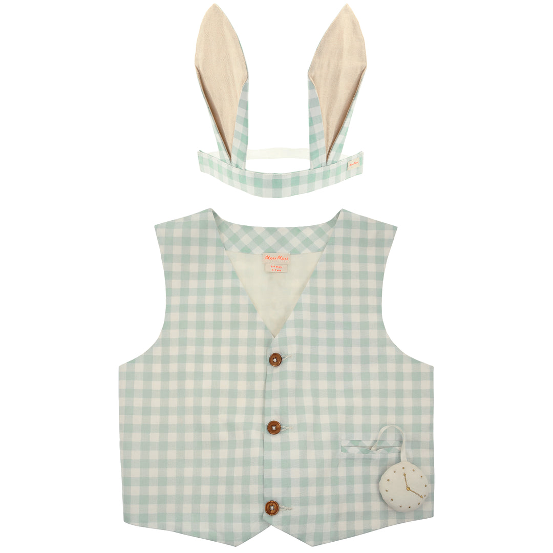 Gingham Bunny Costume