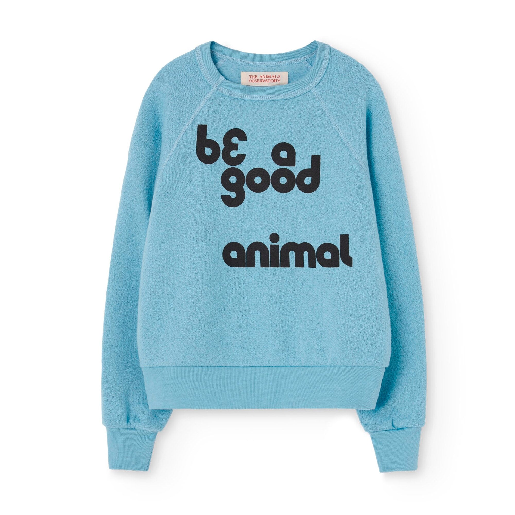 Boys & Girls Light Blue Cotton Sweatshirt