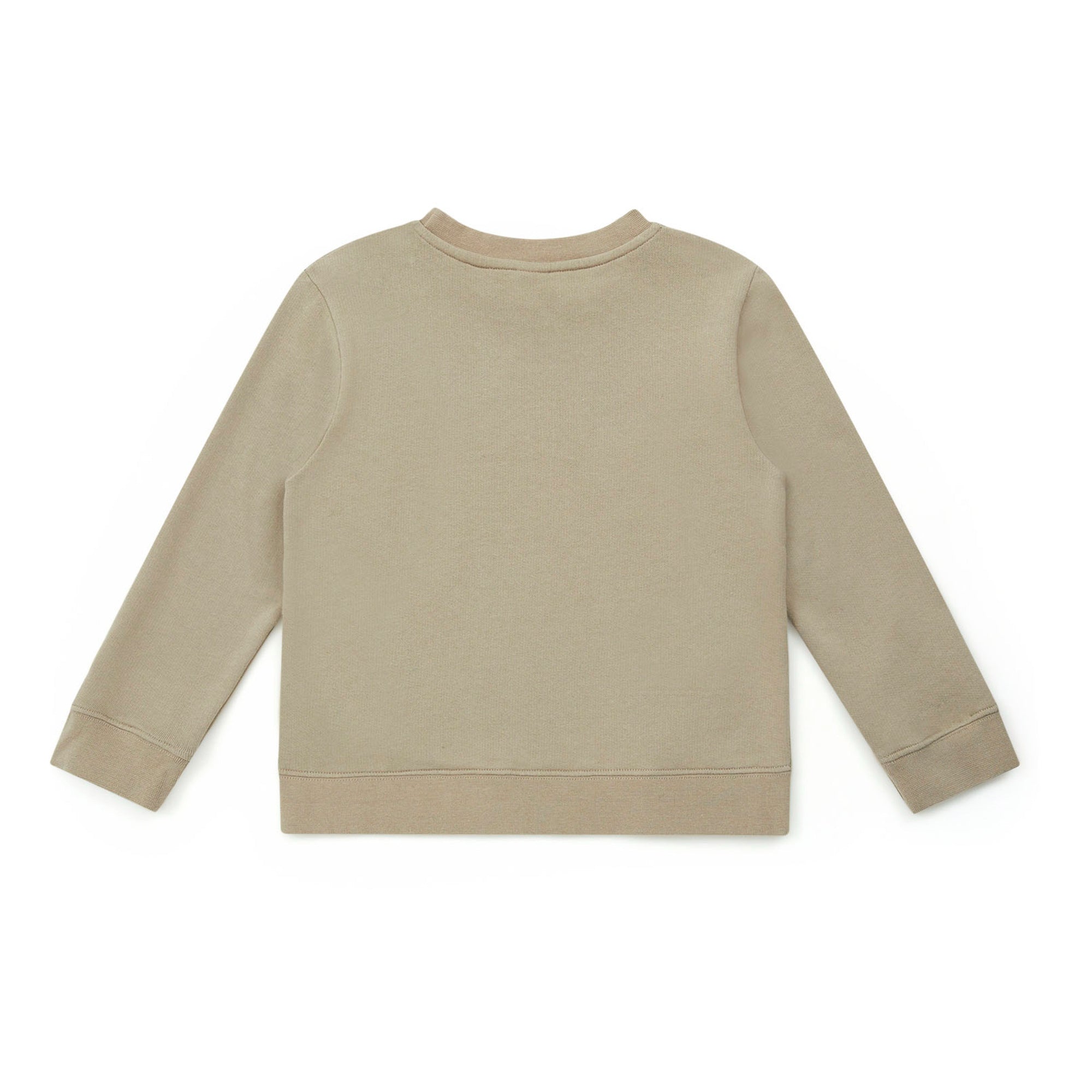 Boys Camel Logo Cotton Sweatshirt