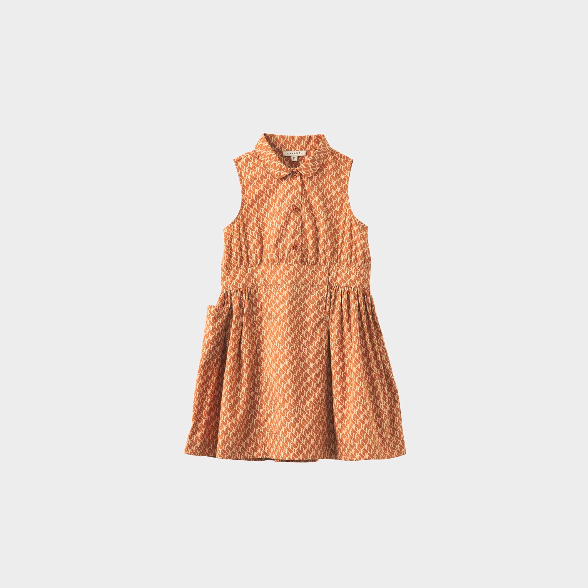 Girls Apricot Printed Cotton Dress