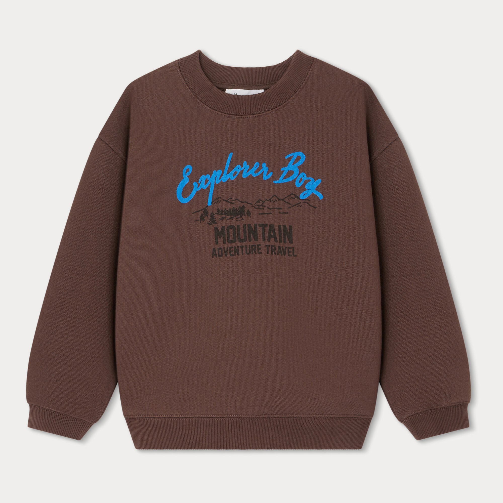 Boys Brown Logo Cotton Sweatshirt