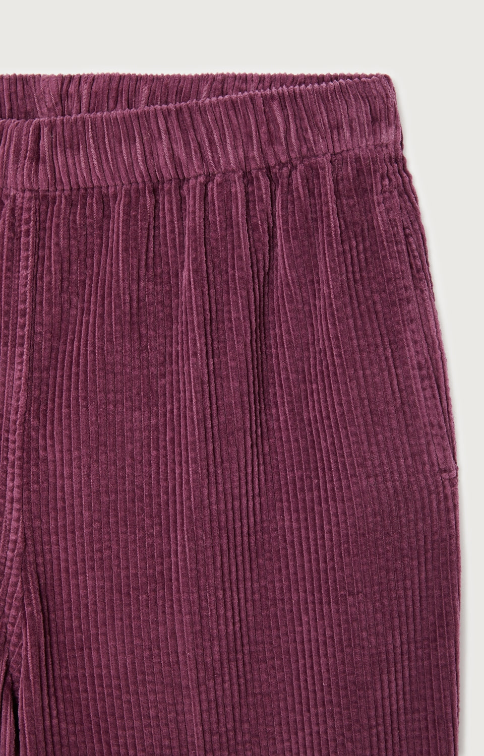 Women Purple Corduroy Trousers