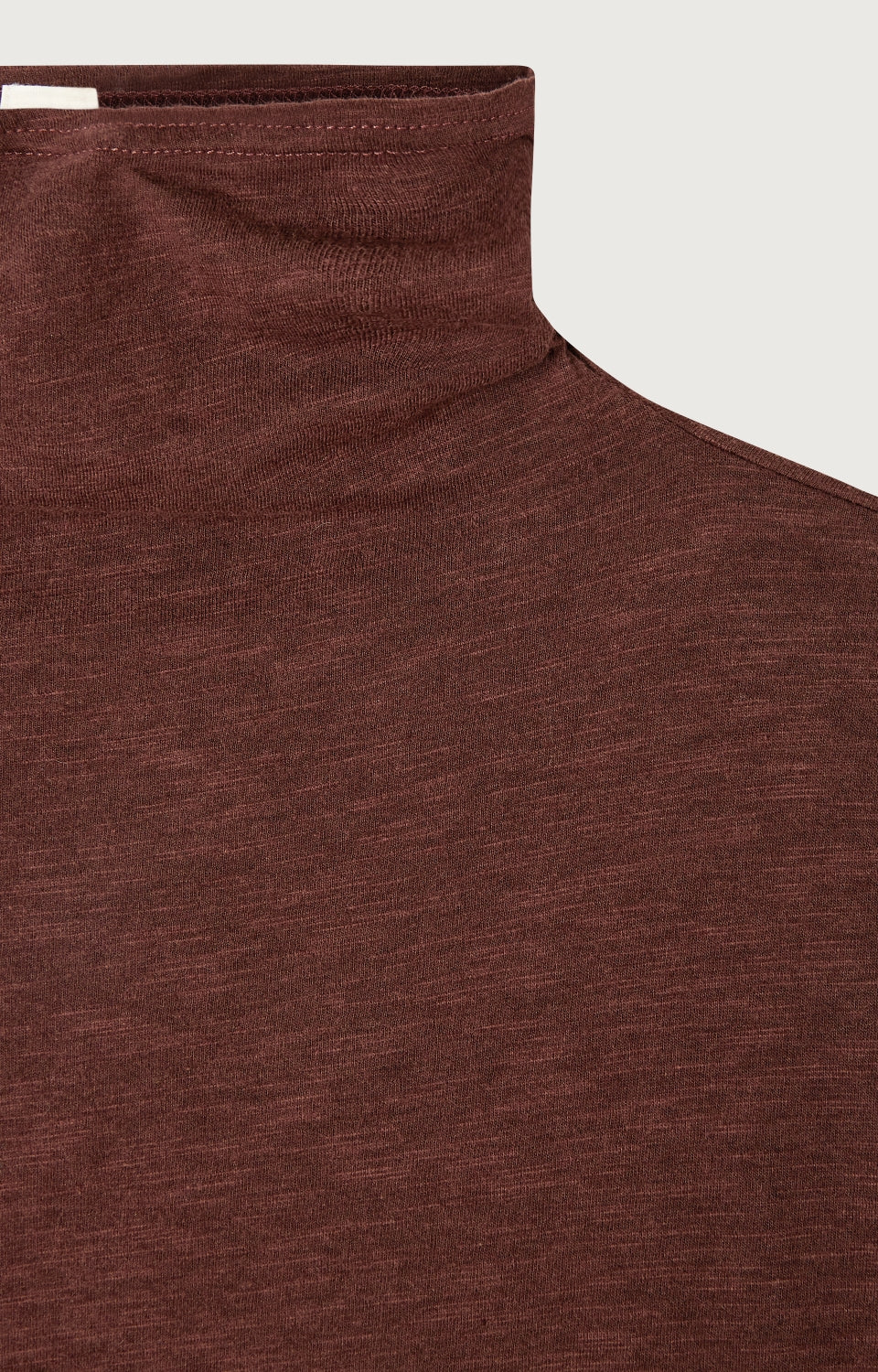 Women Brown Cotton High Neck T-Shirt