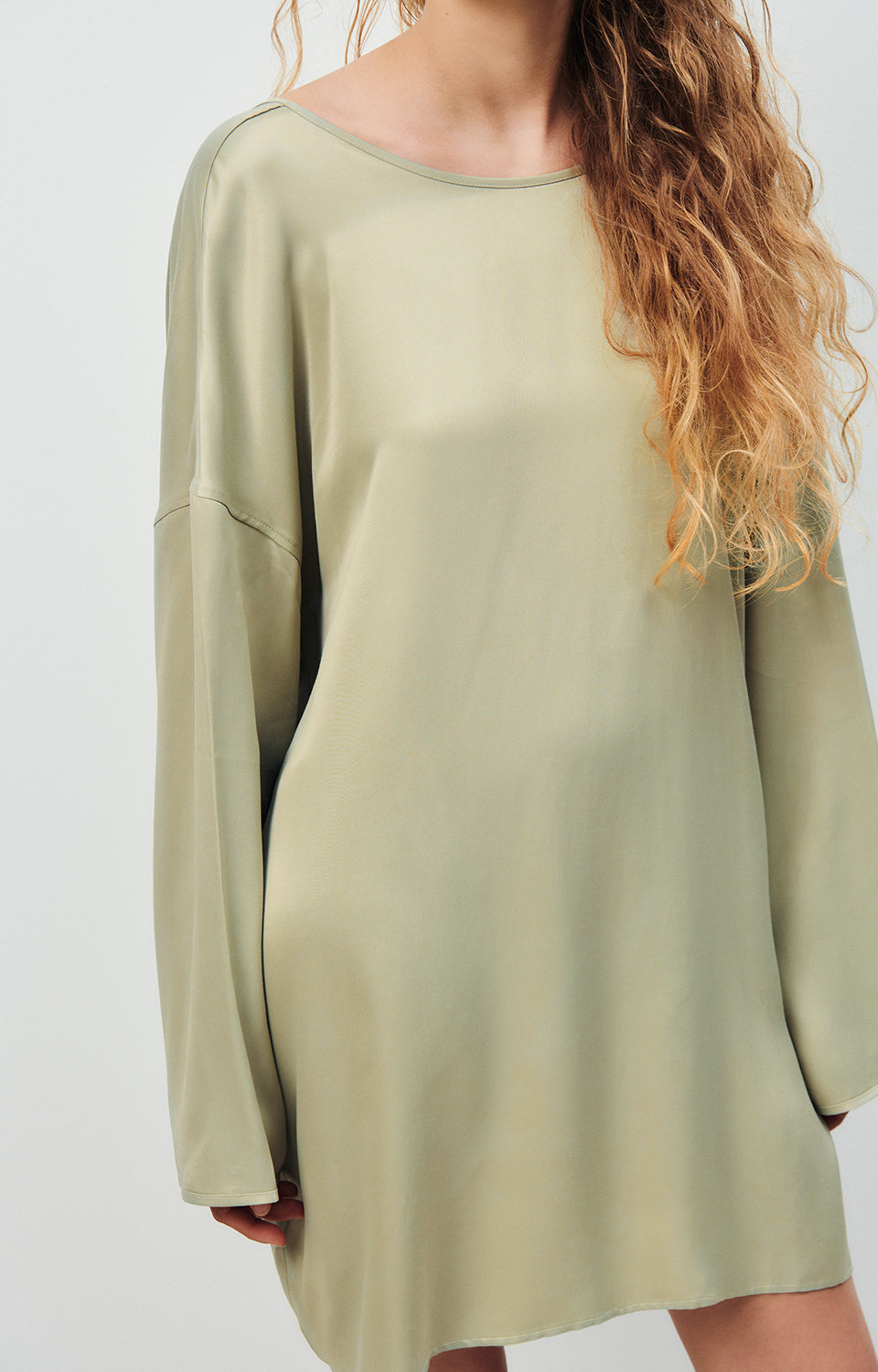 Women Light Green Dress