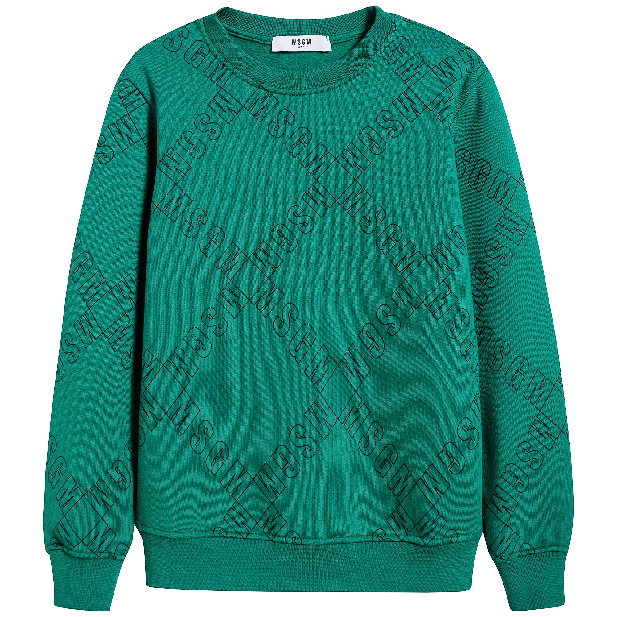 Boys Green Cotton Sweatshirt