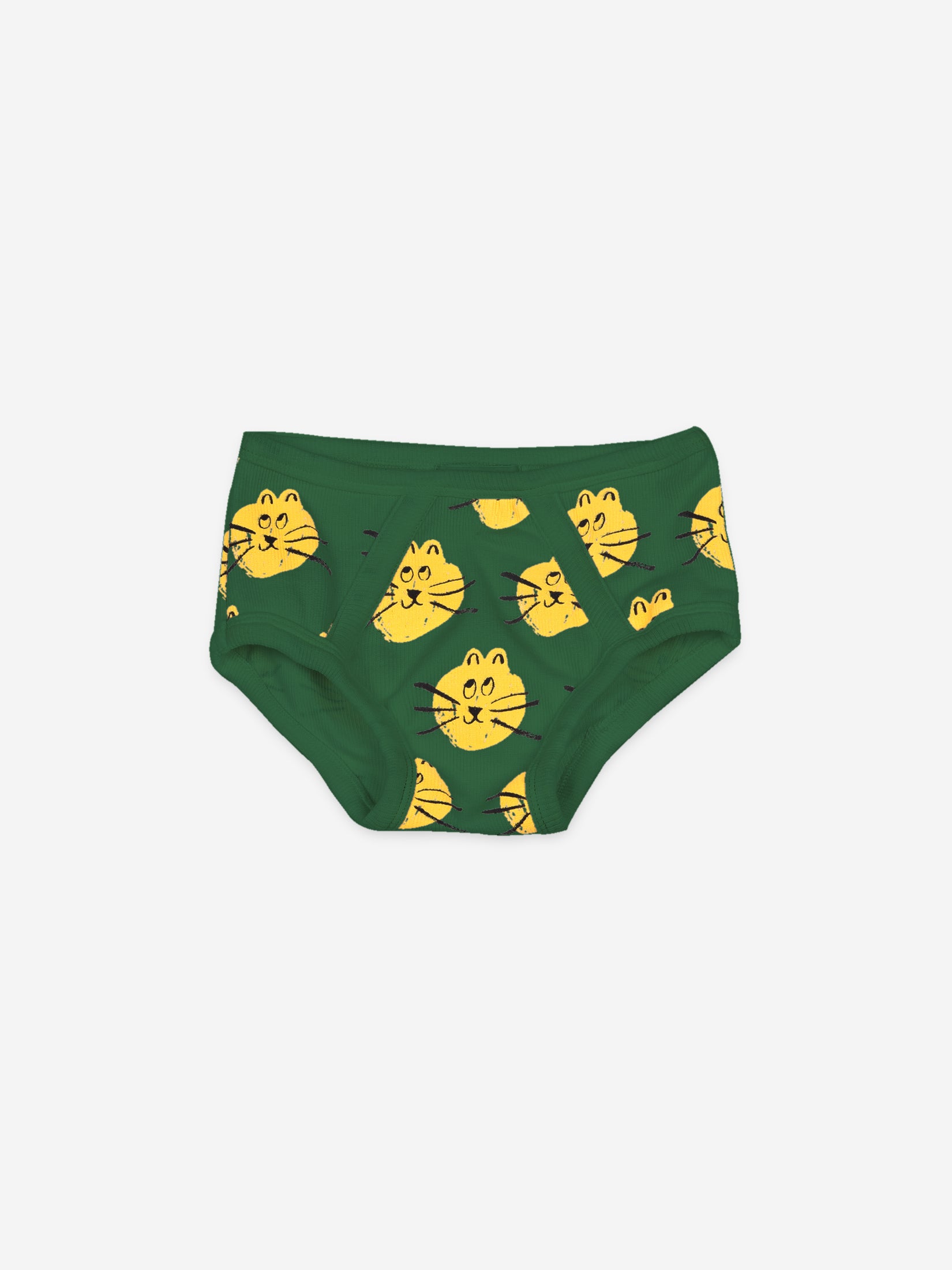 Boys Aqua Green Underwear Set