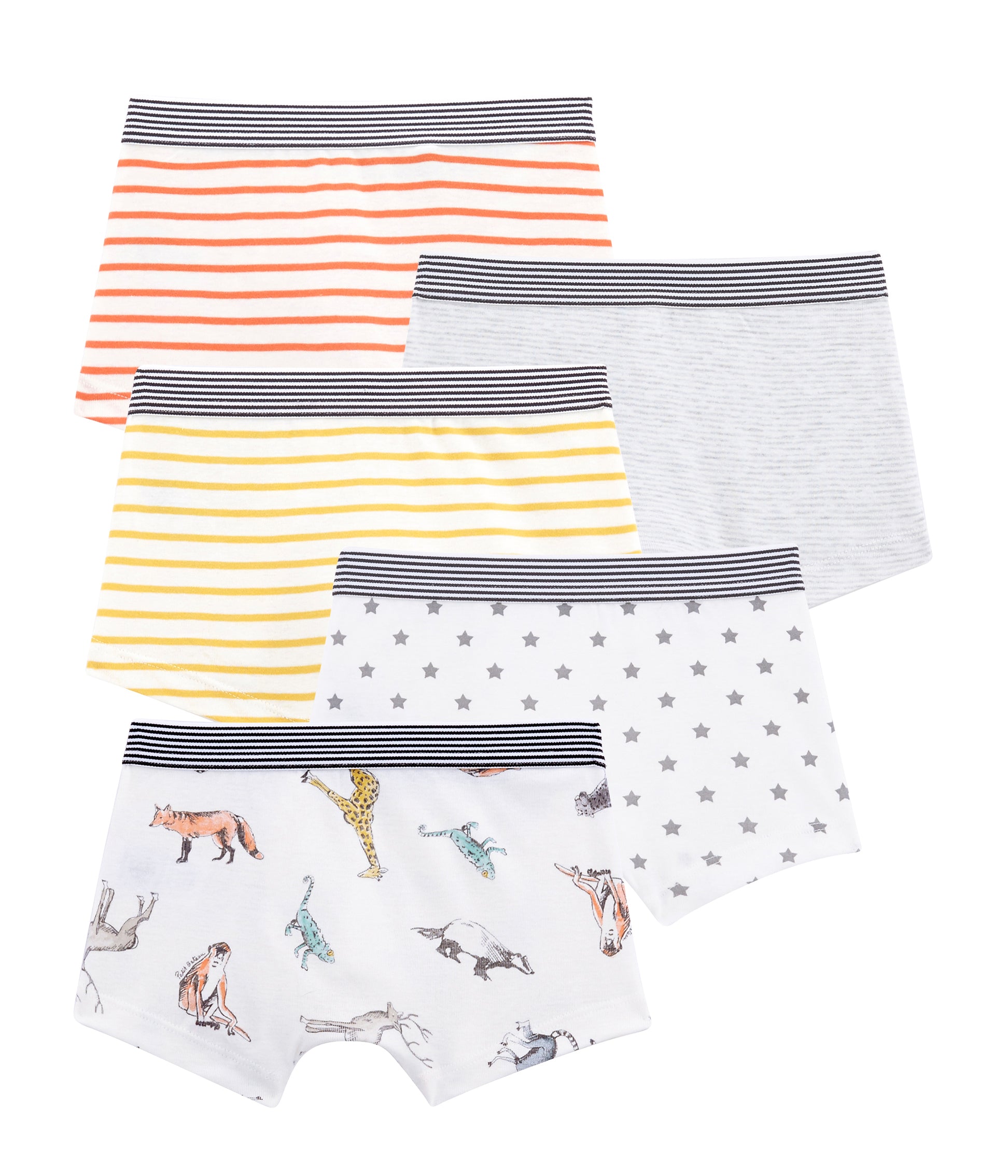 Boys Multicolor Underwear Sets