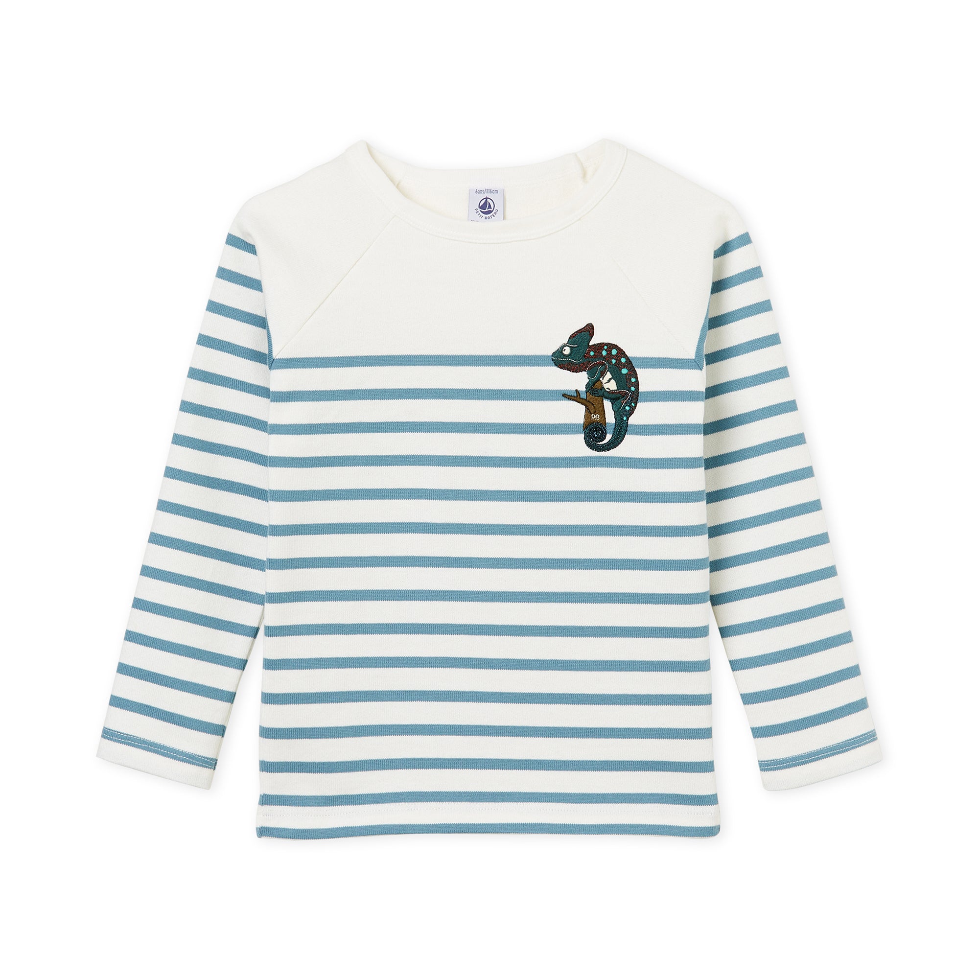 Boys & Girls Blue Stripes T-shirt