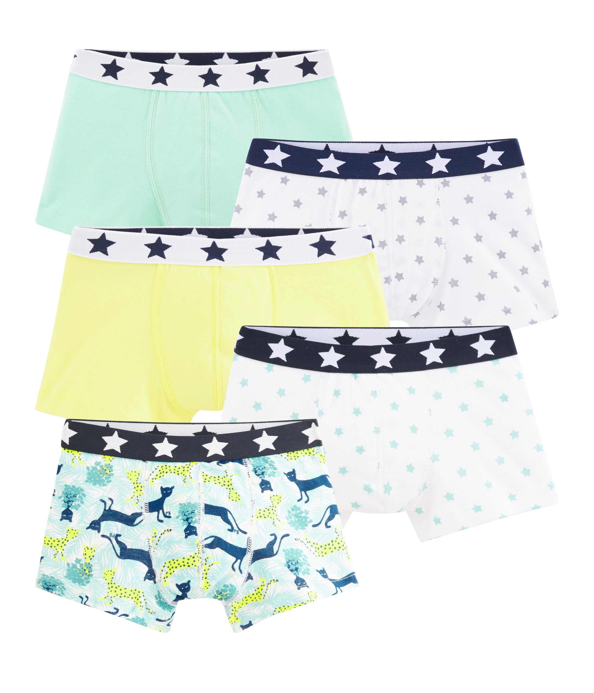 Boys Multicolor Cotton Underwear Set (5 Pack)