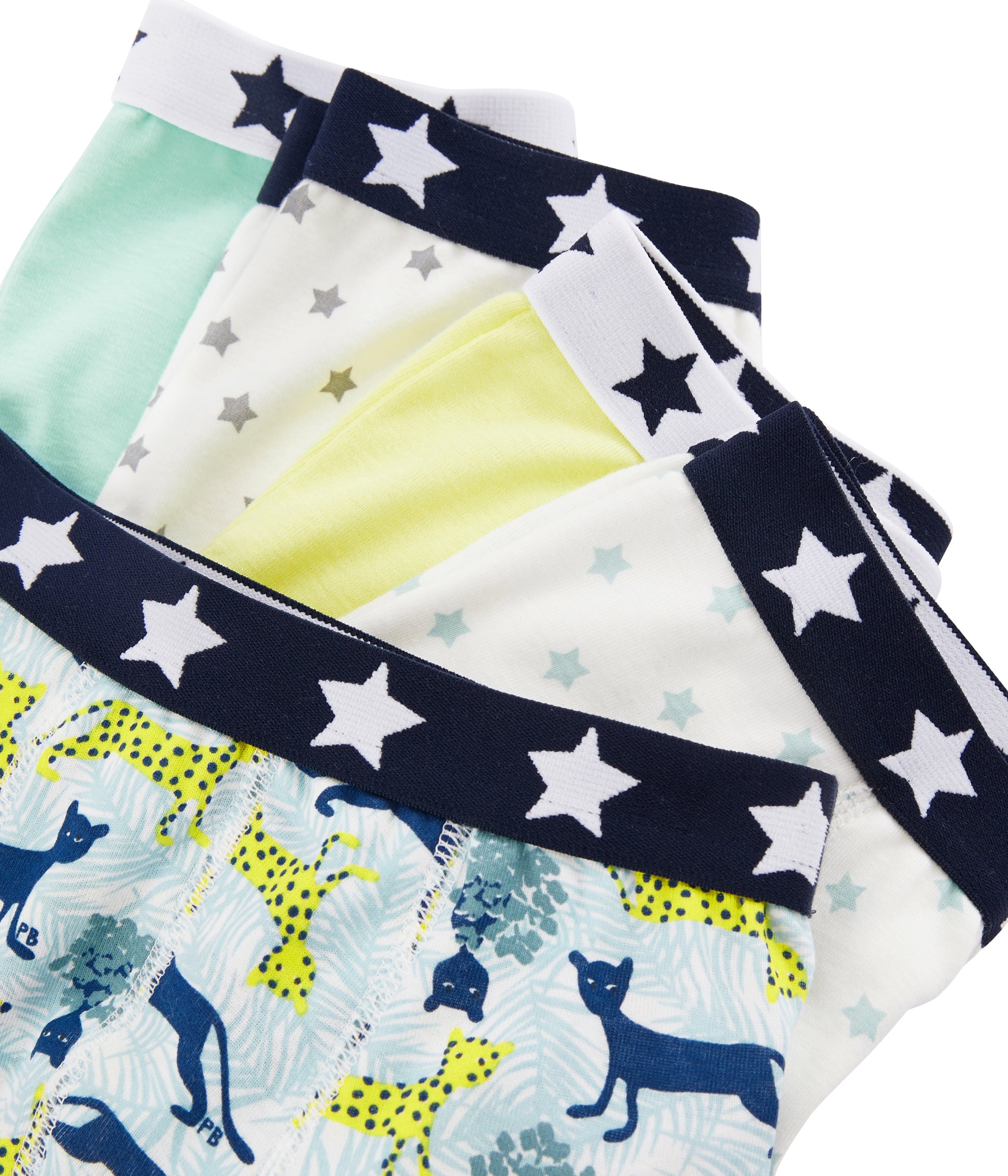 Boys Multicolor Cotton Underwear Set (5 Pack)