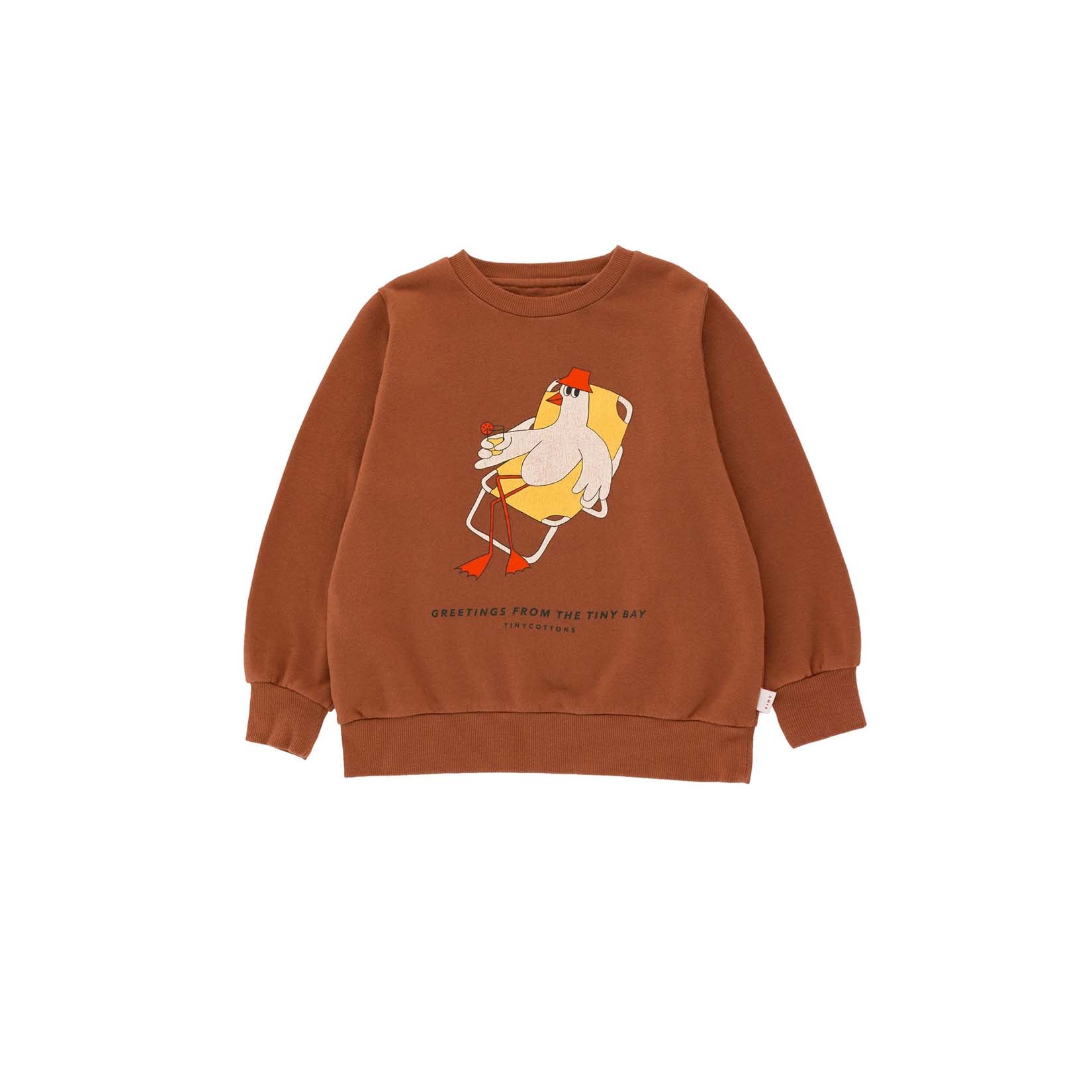 Boys & Girls Brown Bird Cotton Sweatshirt