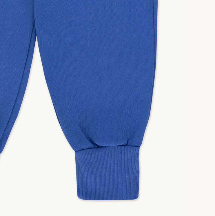 Boys & Girls Blue Cotton Trousers