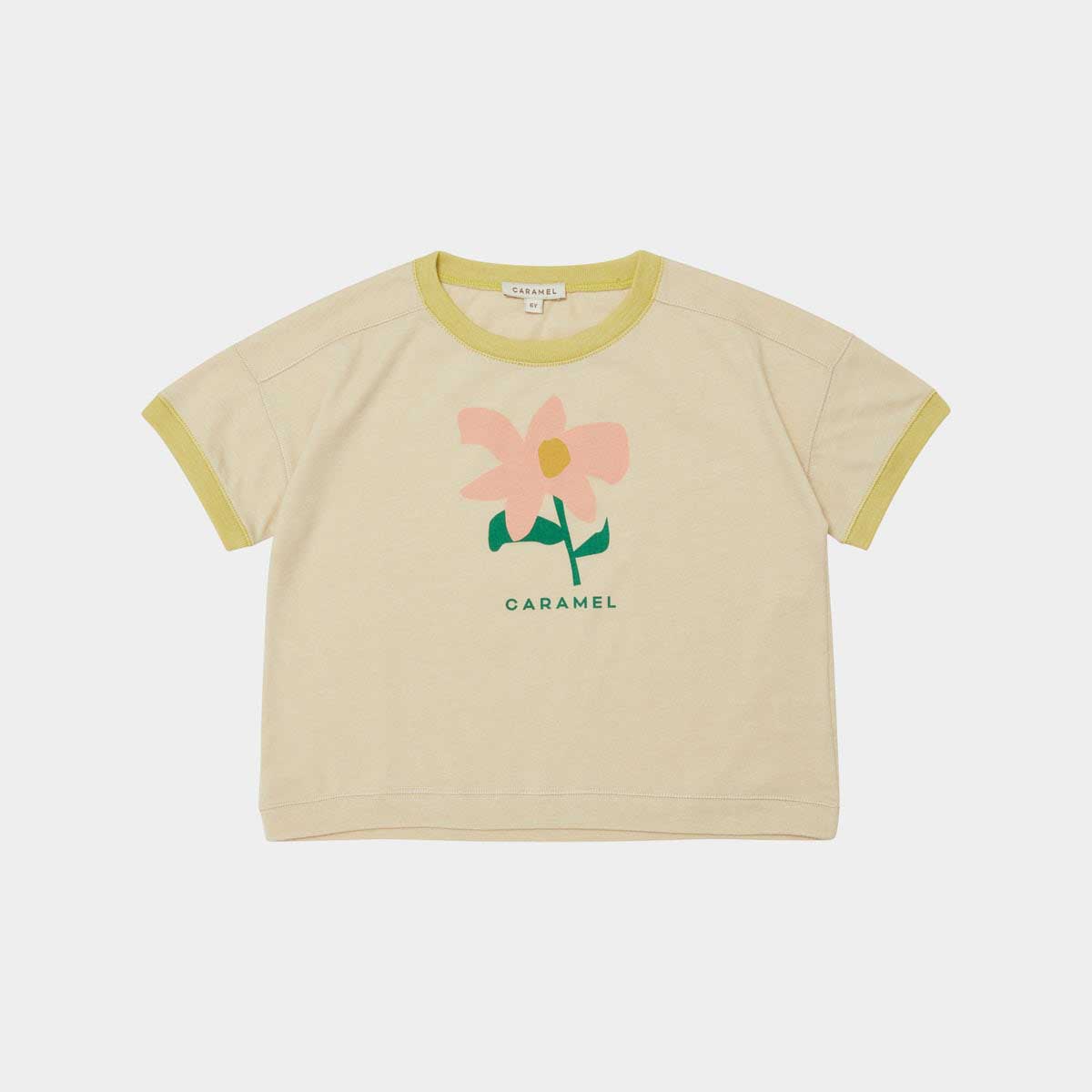 Boys & Girls Beige Cotton T-Shirt