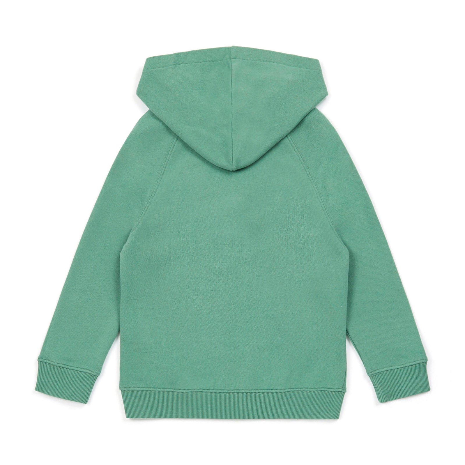 Boys & Girls Green Hooded Cotton Sweatshirt