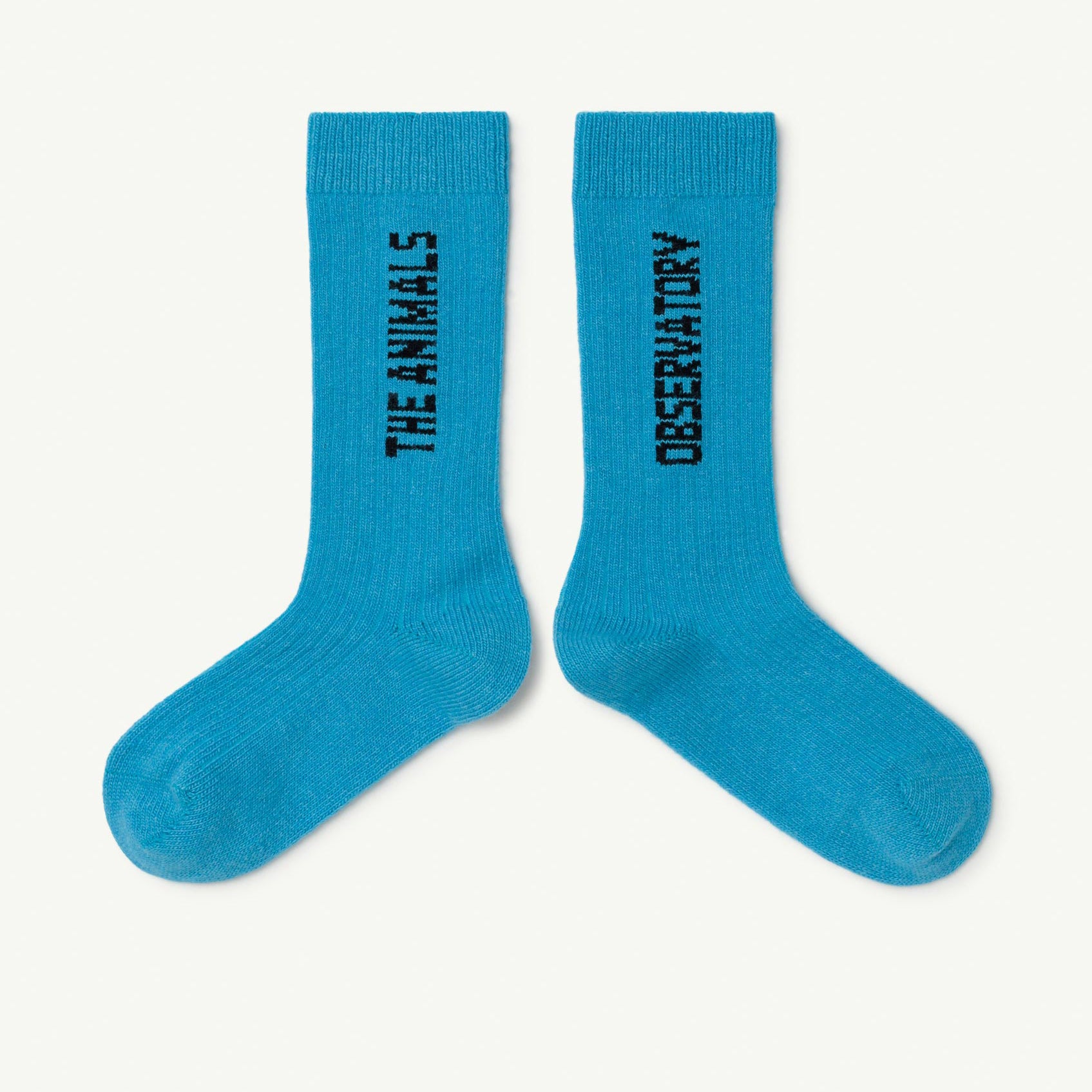 Boys & Girls Blue Logo Socks