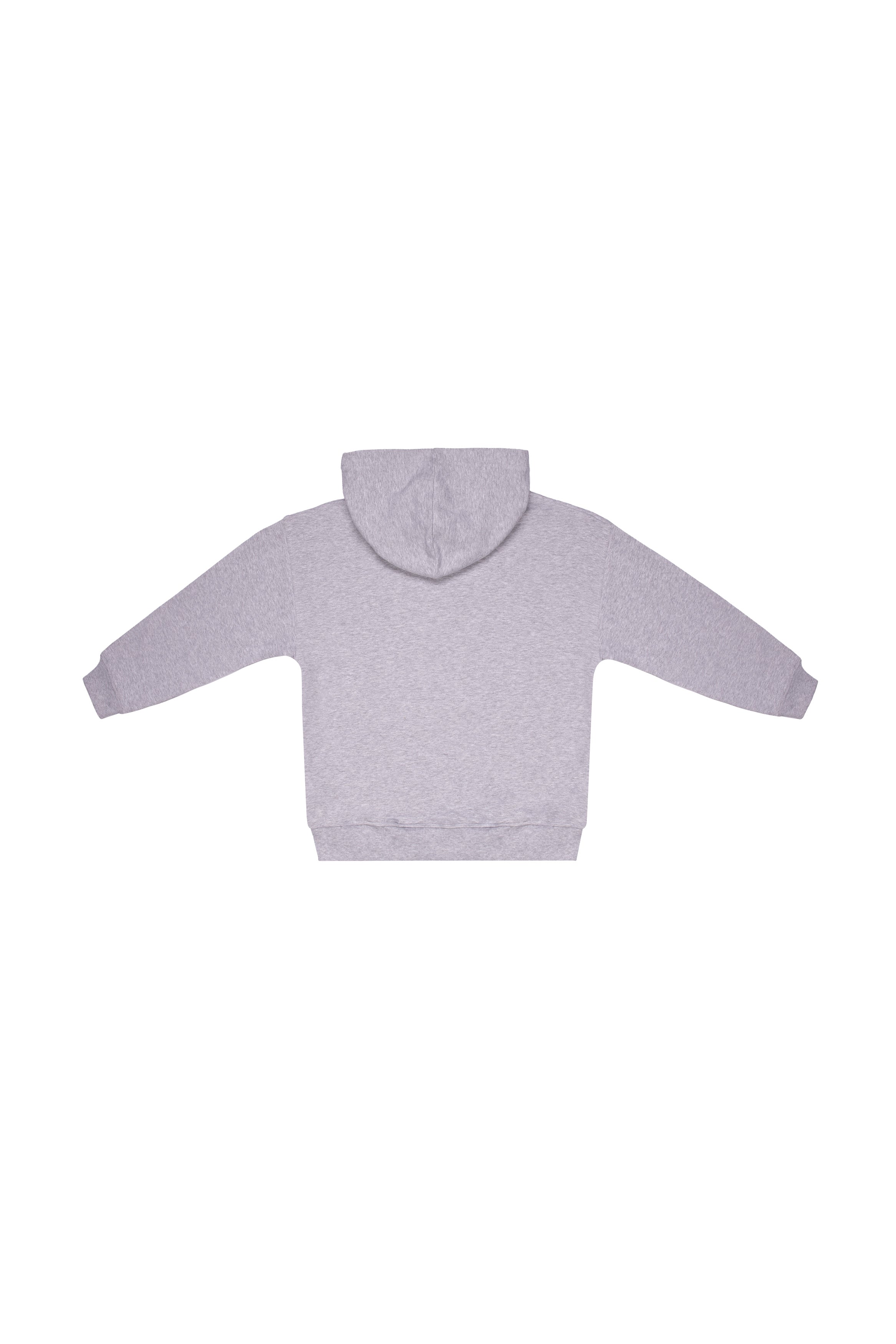 Boys & Girls Grey Hooded Cotton Sweatshirt