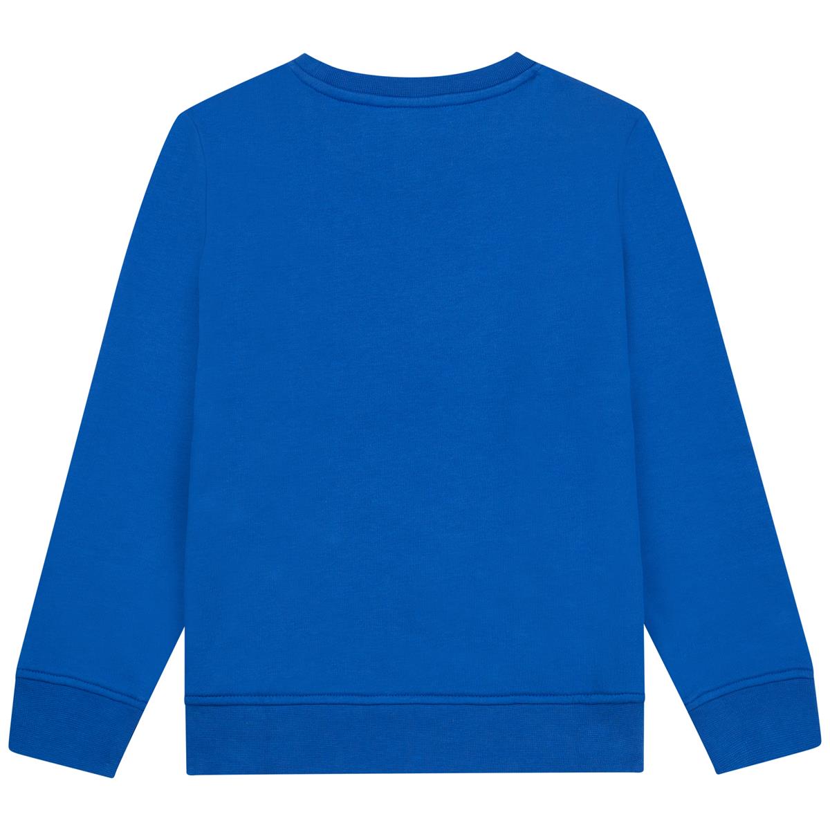 Boys & Girls Blue Sweatshirt