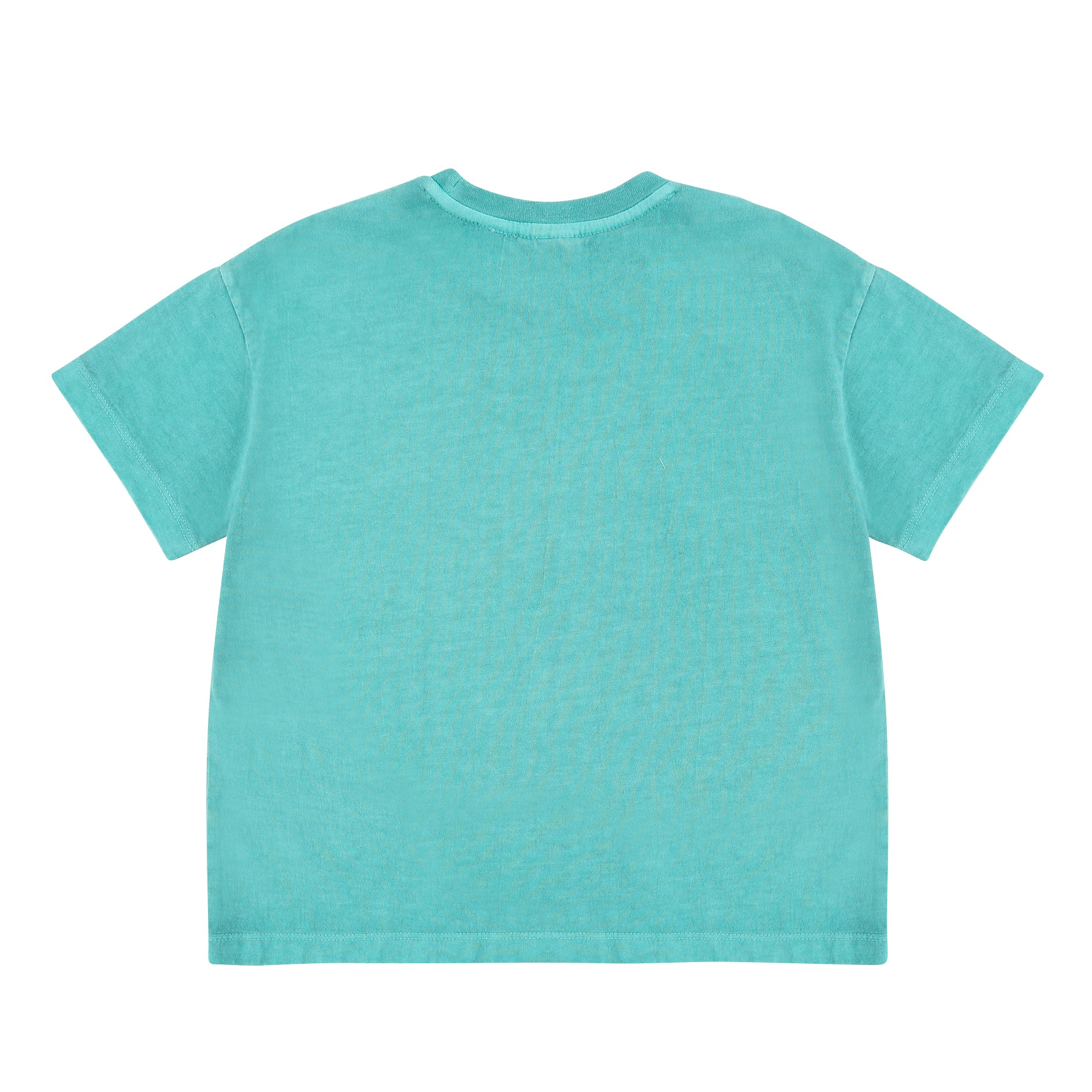 Boys & Girls Green Lion Cotton T-Shirt