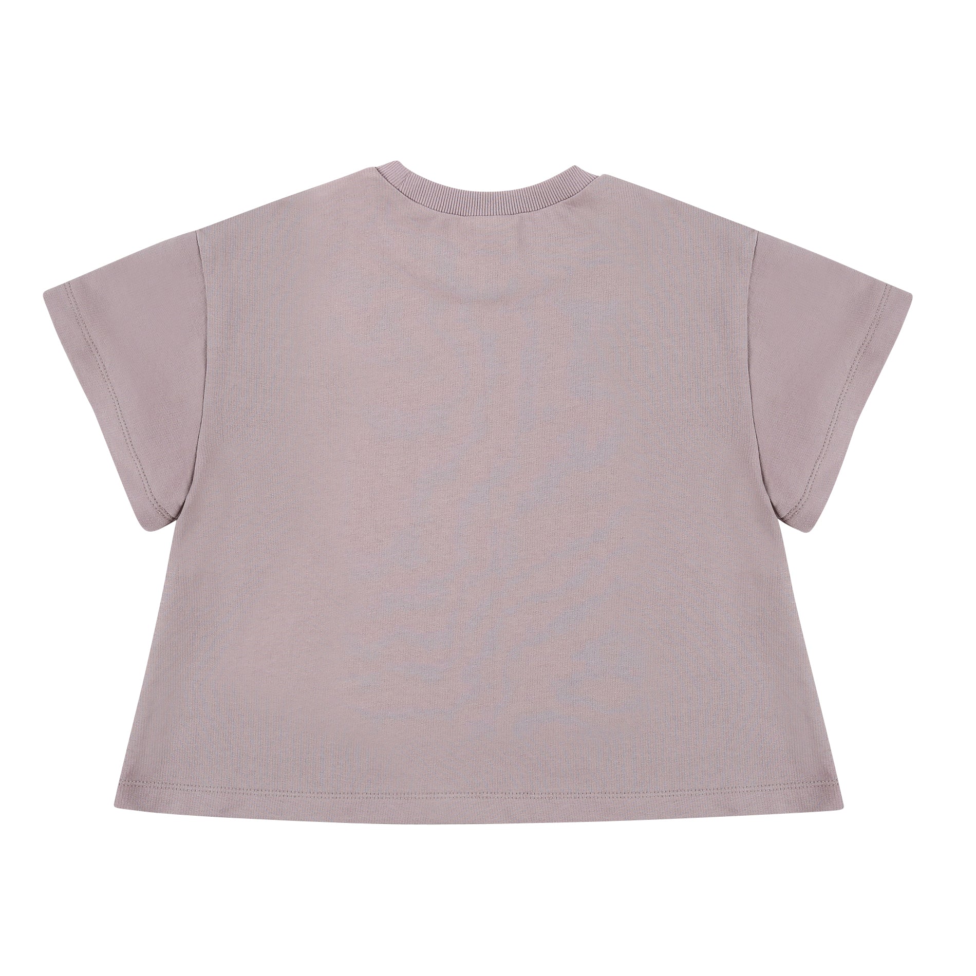 Boys & Girls Purple Lion Cotton T-Shirt