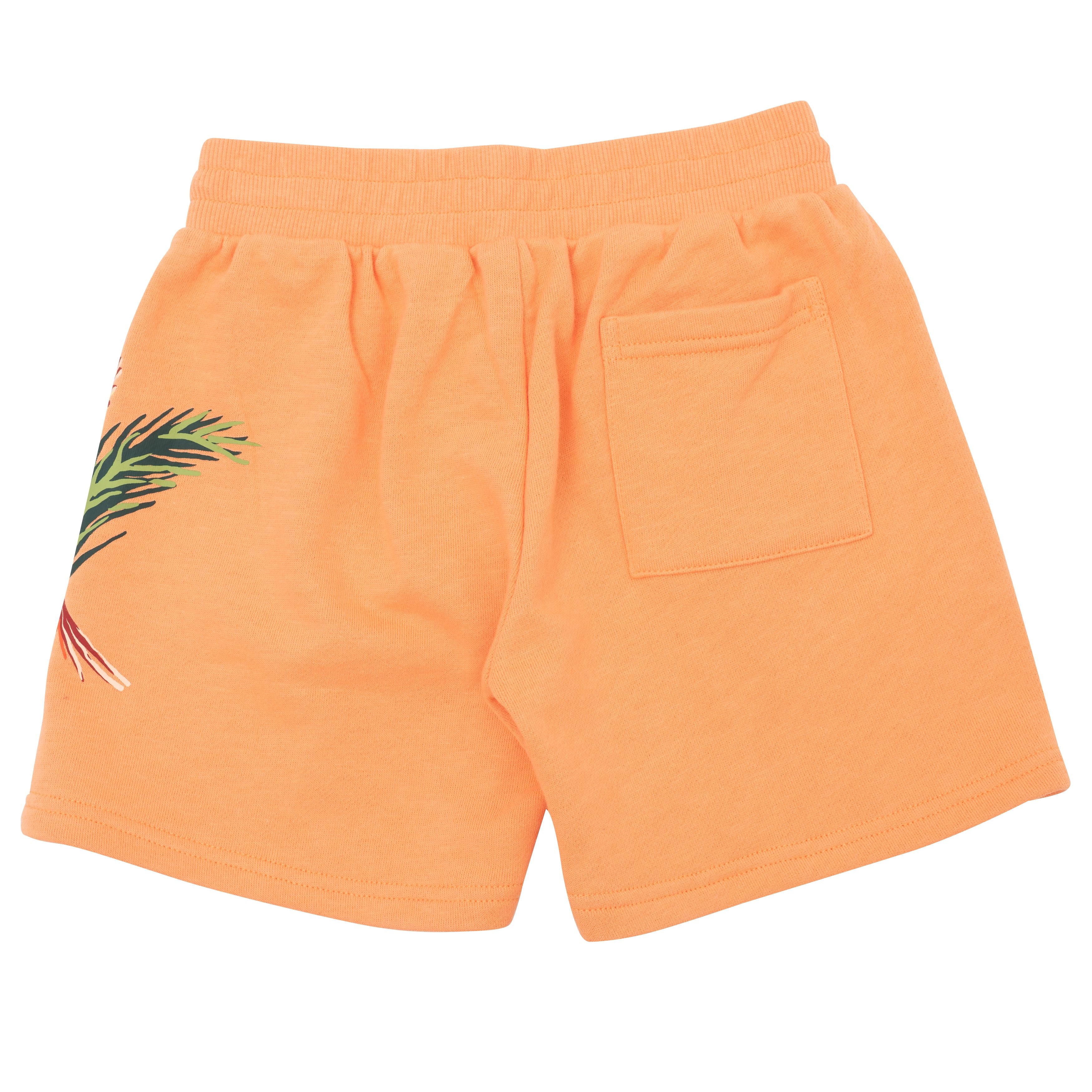 Boys & Girls Orange Shorts