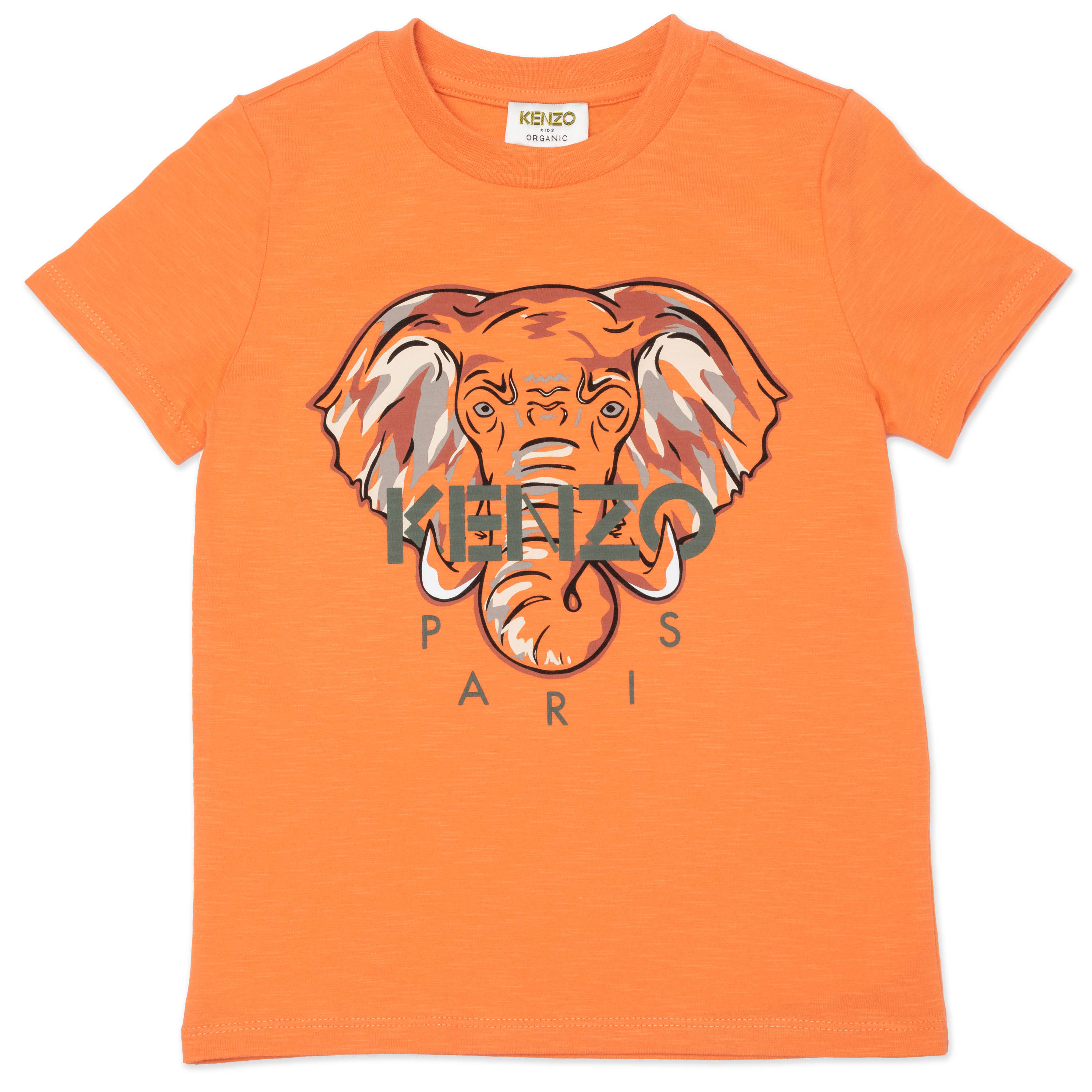 Boys Orange Elephant Cotton T-Shirt