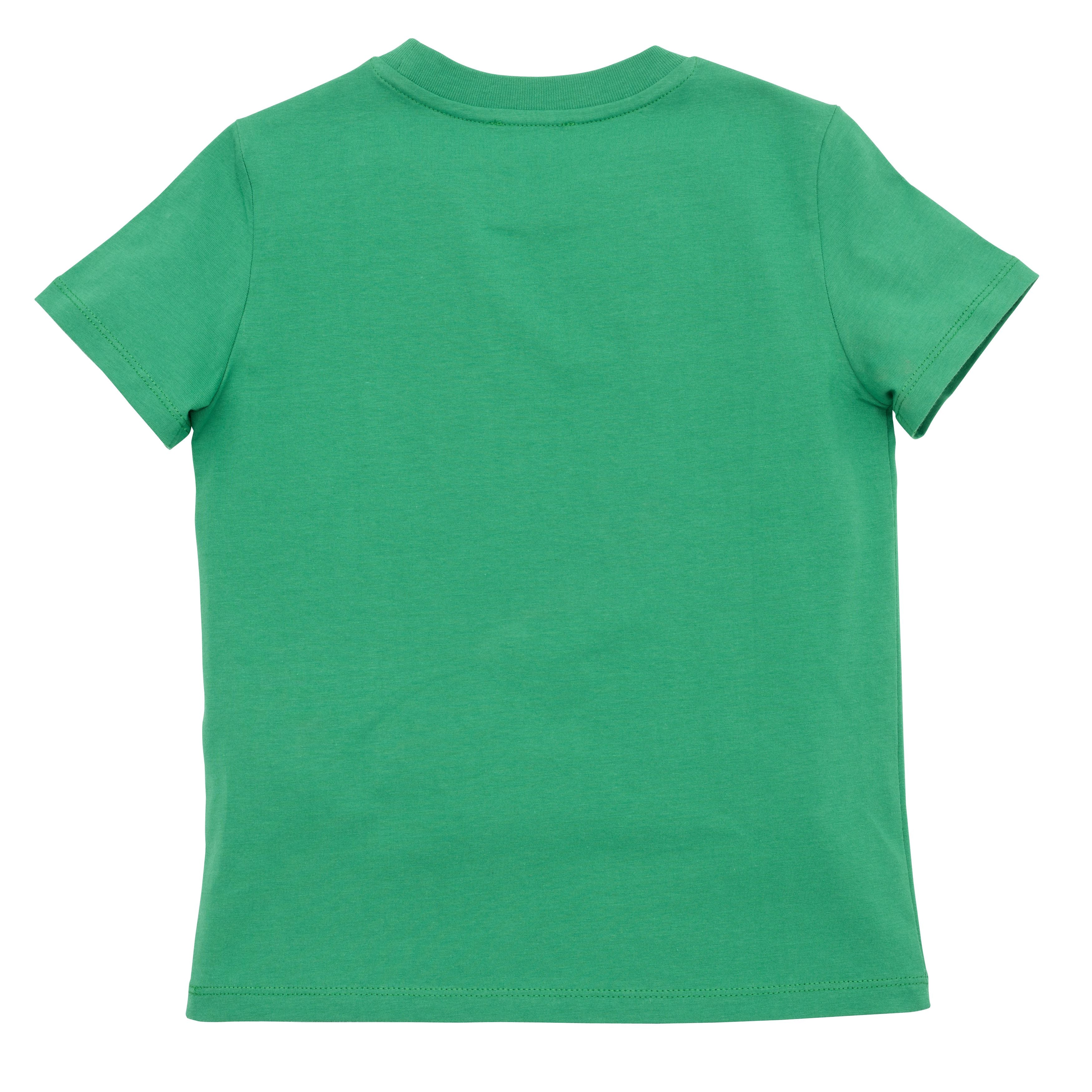 Boys & Girls Green Tiger Cotton T-Shirts