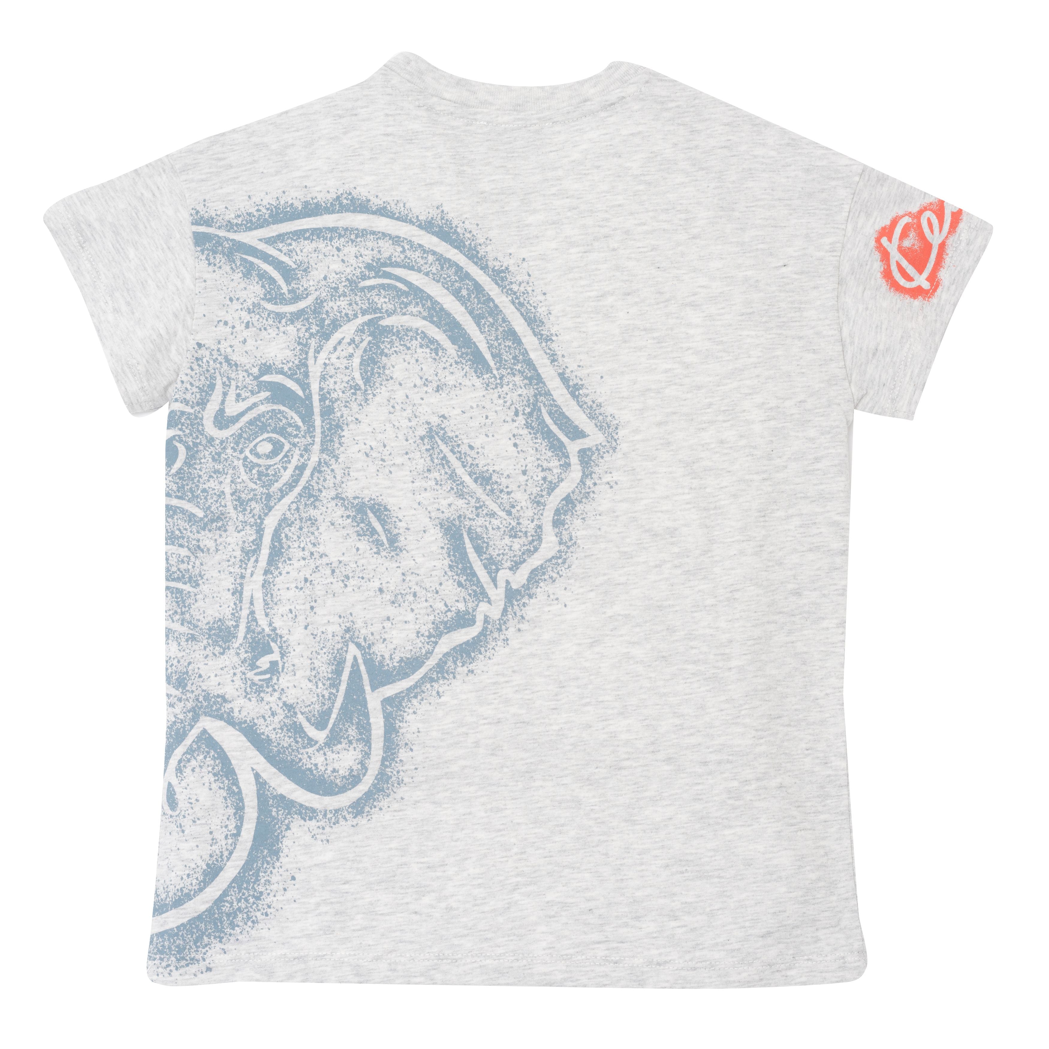 Boys & Girls Grey Cotton T-Shirts