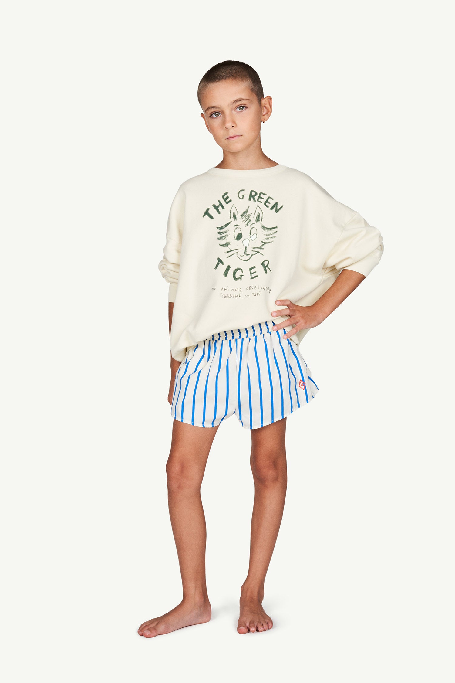 Boys Blue Stripe Swim Shorts