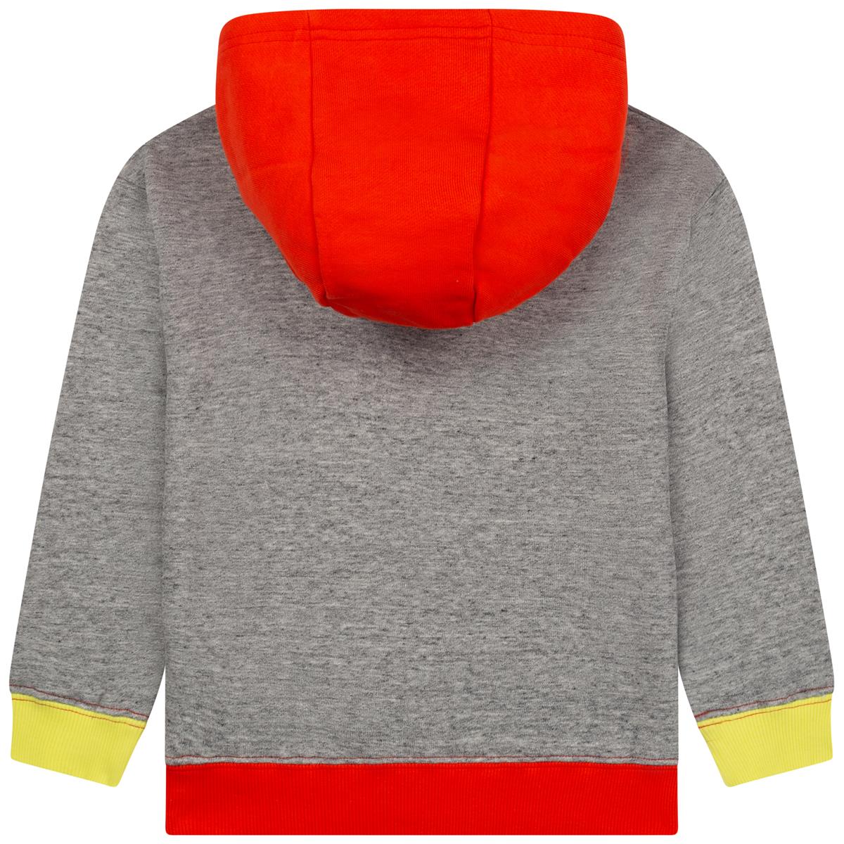 Boys & Girls Grey Hooded Sweatshirt