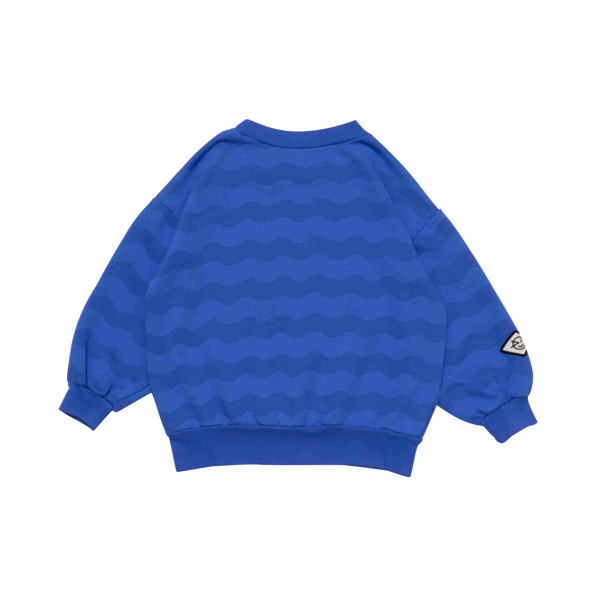 Boys & Girls Blue Cotton Sweatshirt