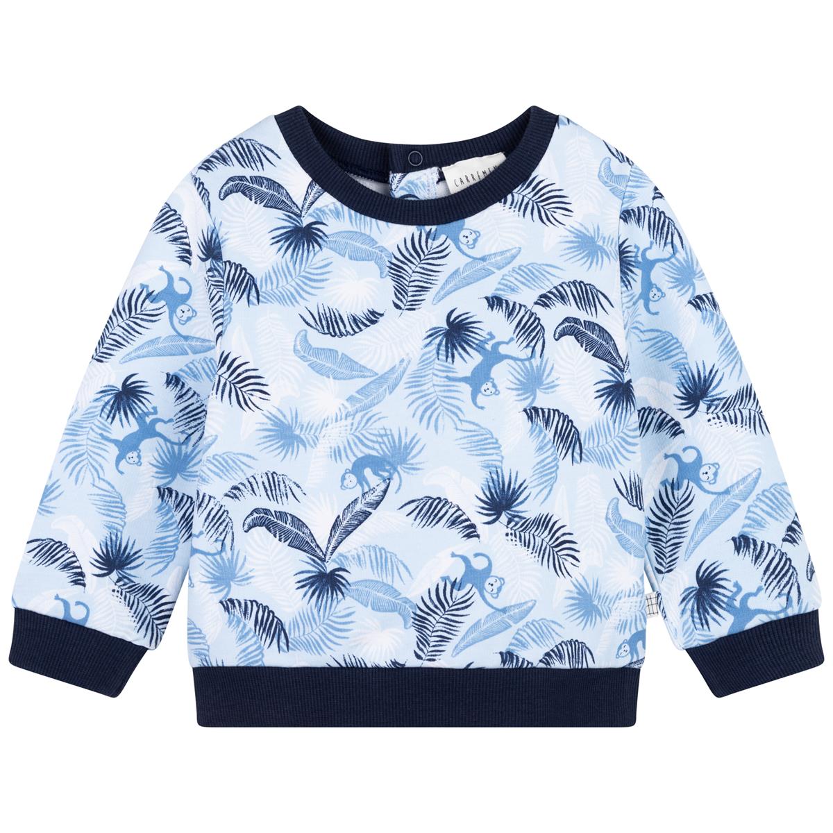 Baby Boys & Girls Blue Sweatshirt